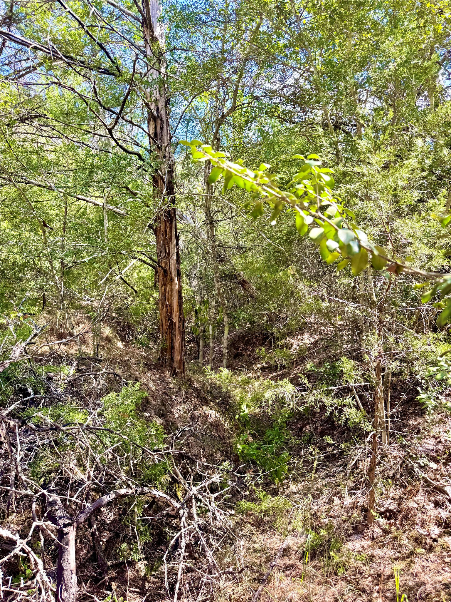 main property photo 10