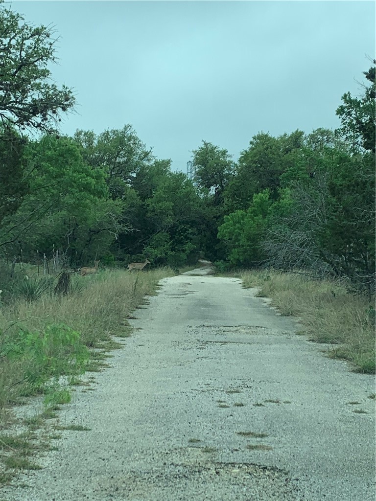 main property photo 8