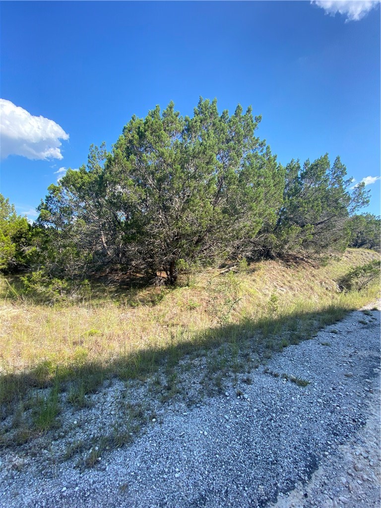 main property photo 6