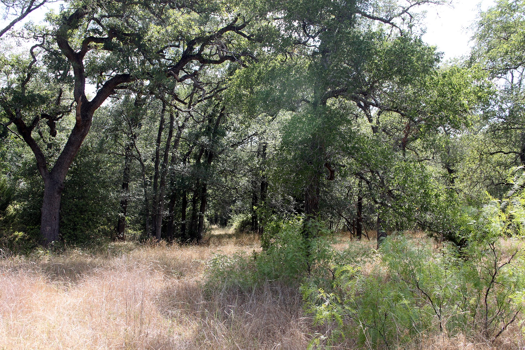 main property photo 16