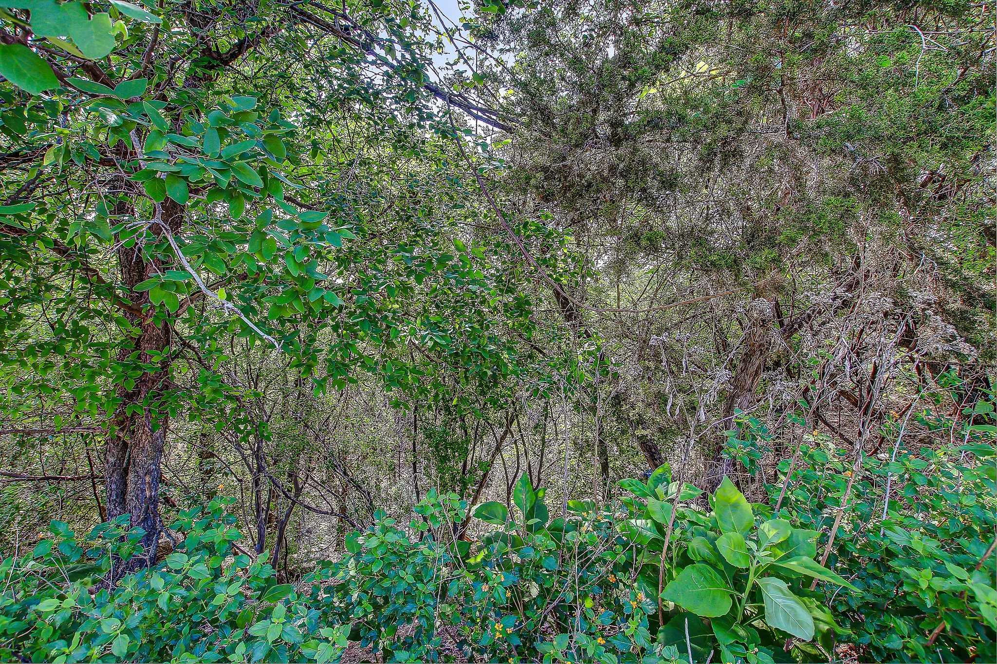 main property photo 13