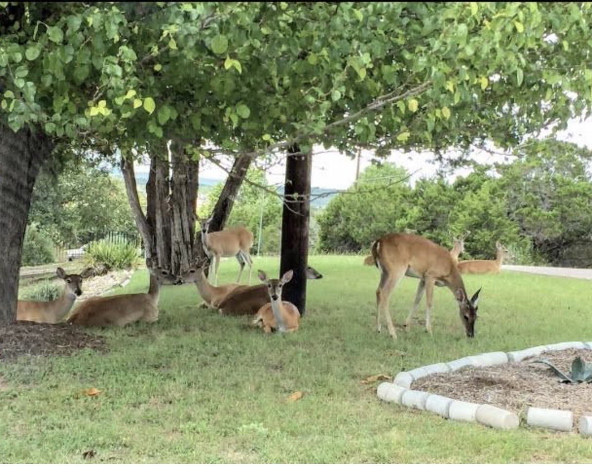 main property photo 8