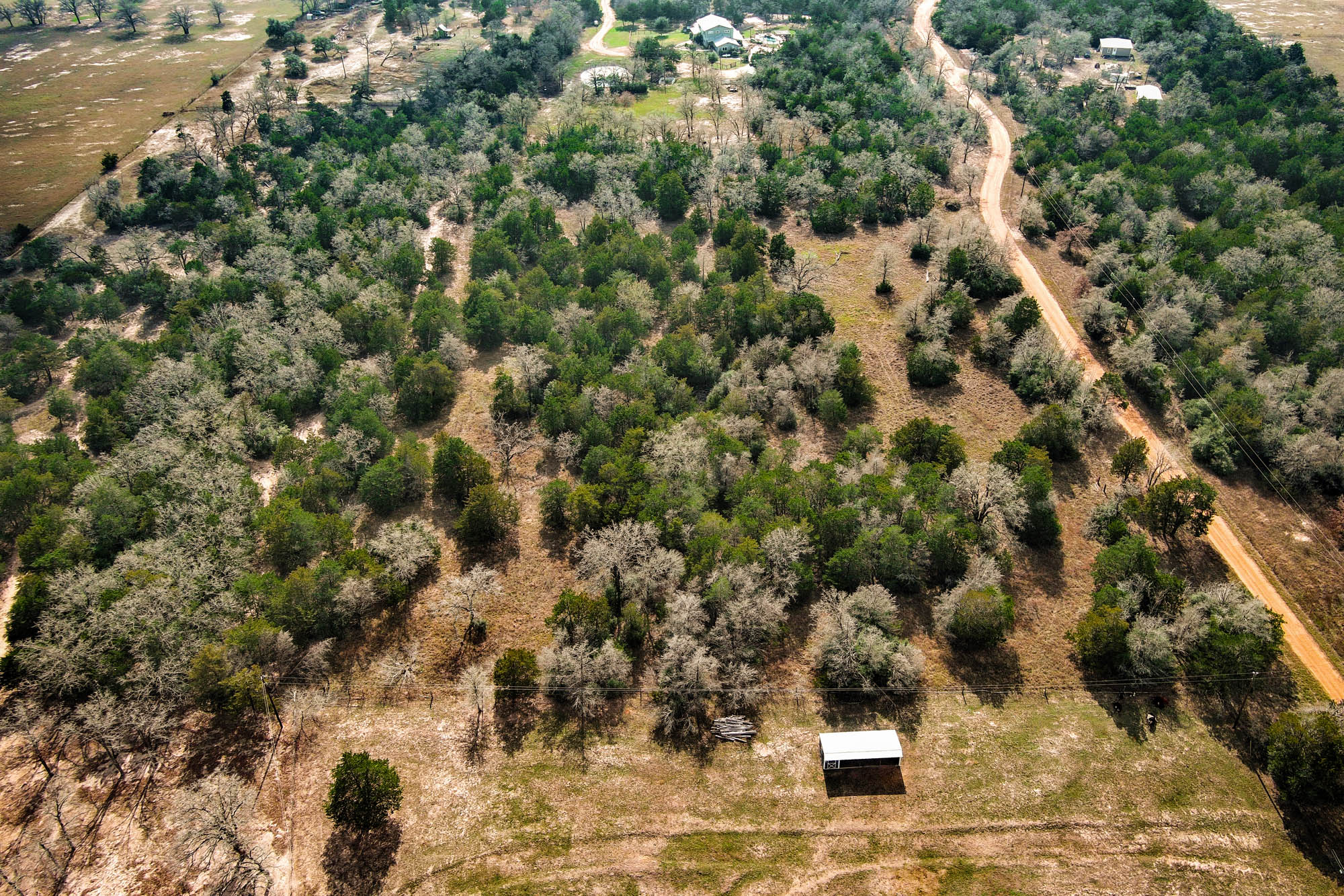 main property photo 39
