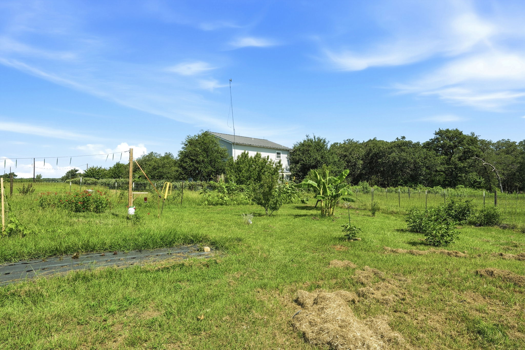 main property photo 29