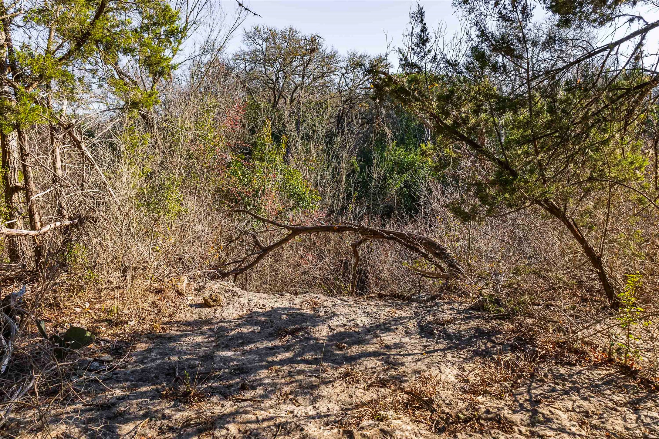 main property photo 12