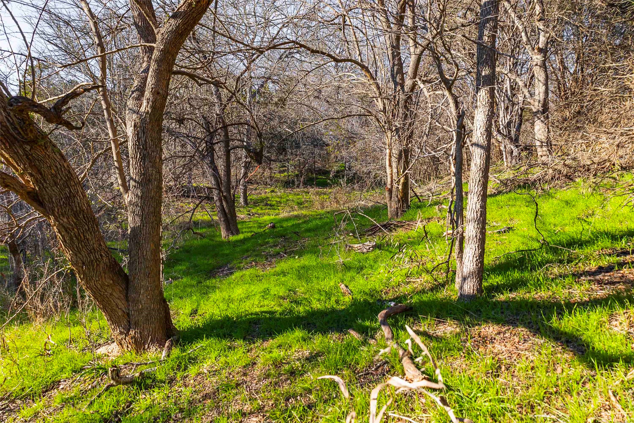 main property photo 17