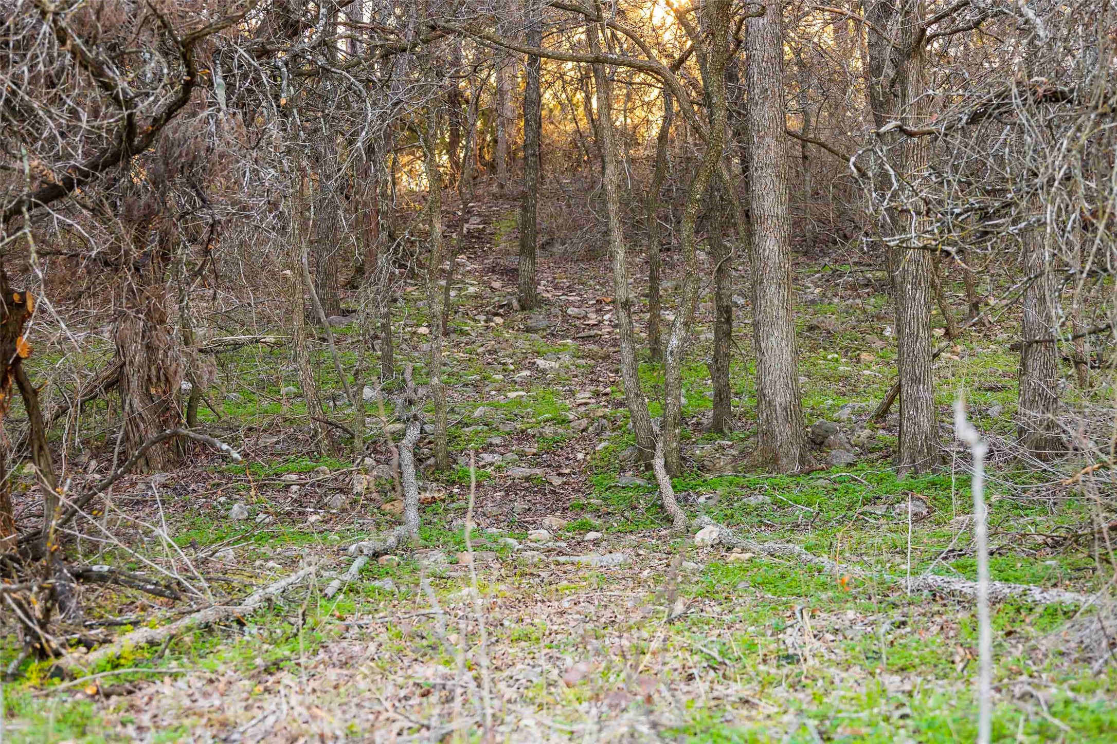 main property photo 27