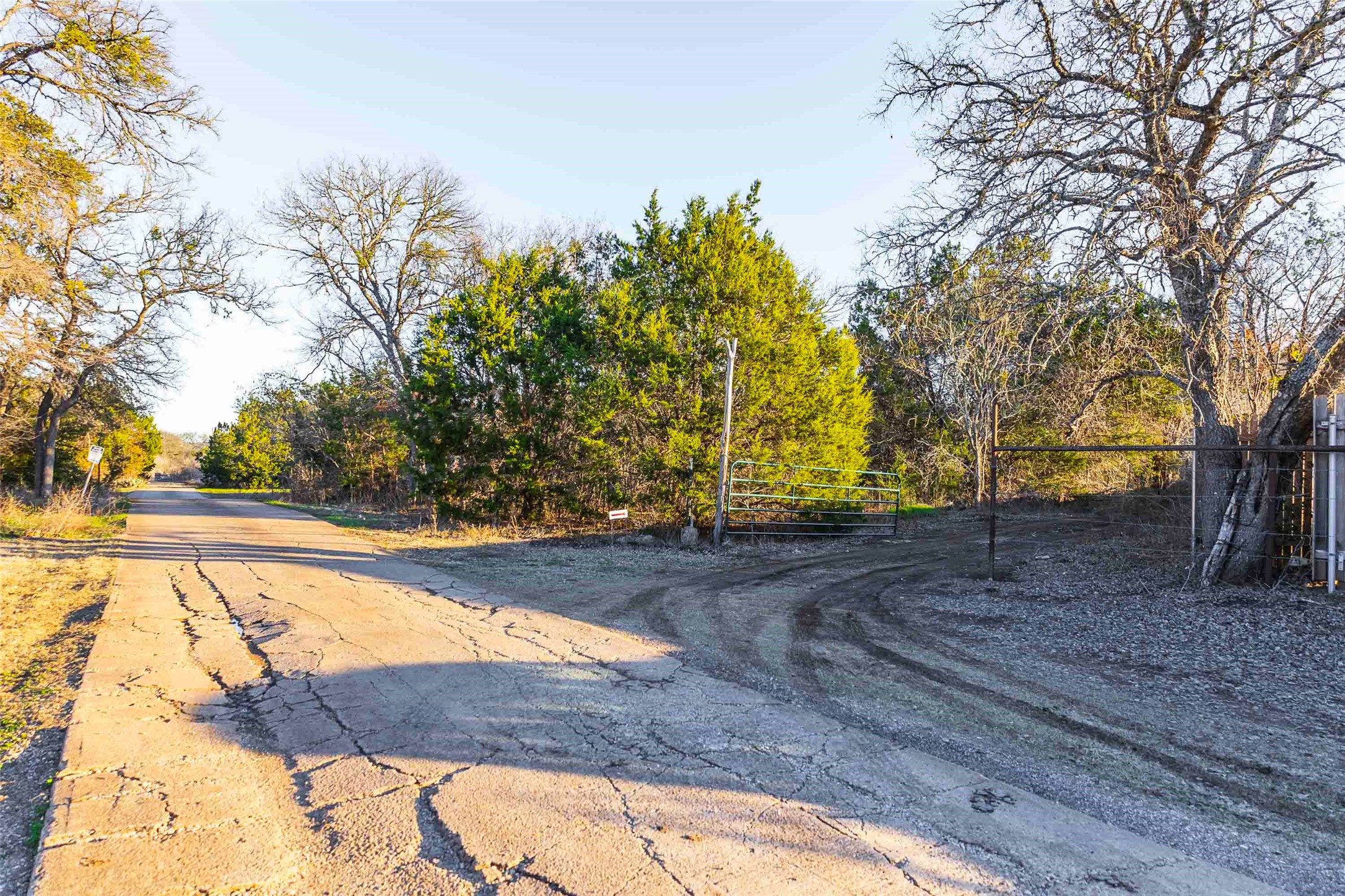 main property photo 29