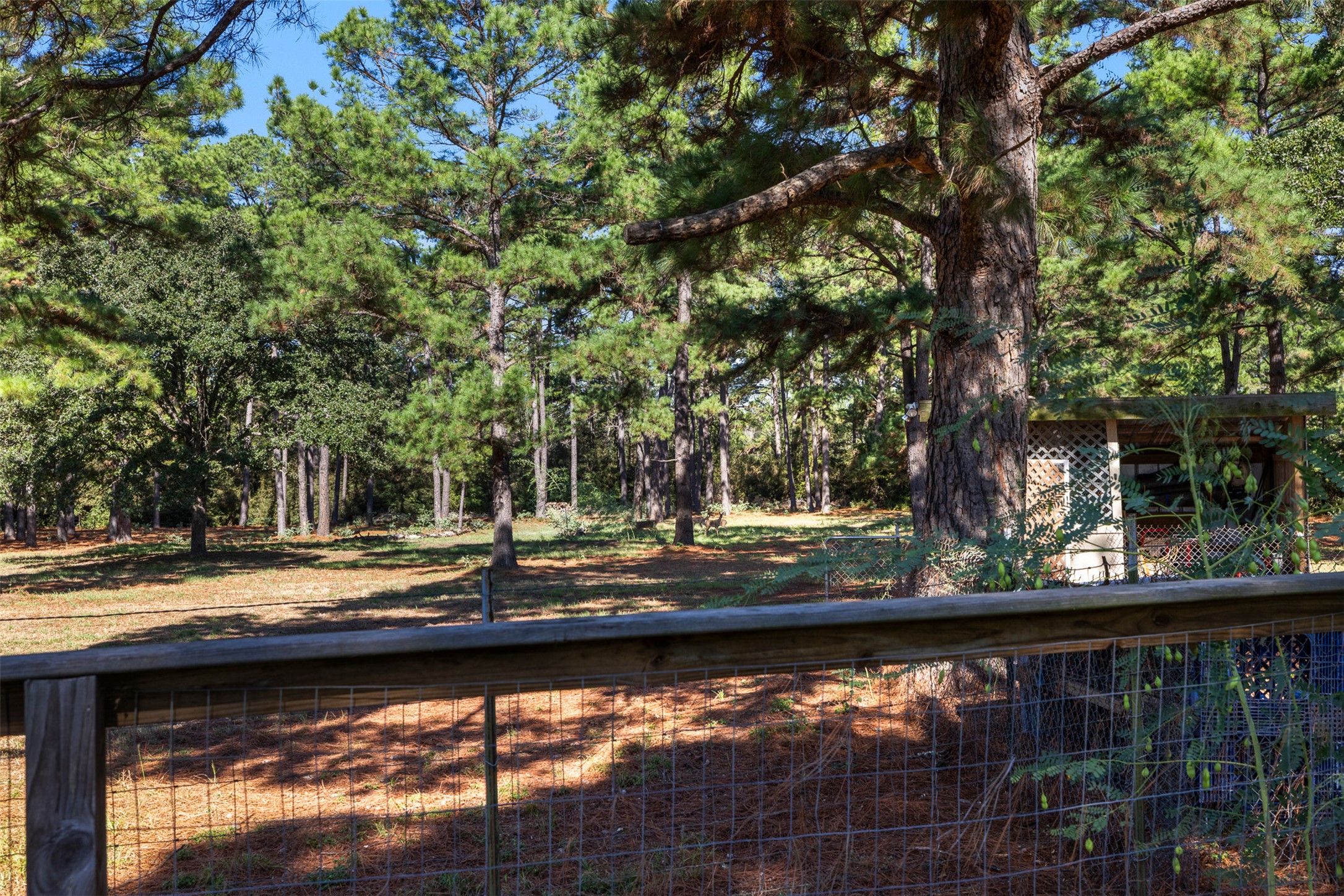 main property photo 12