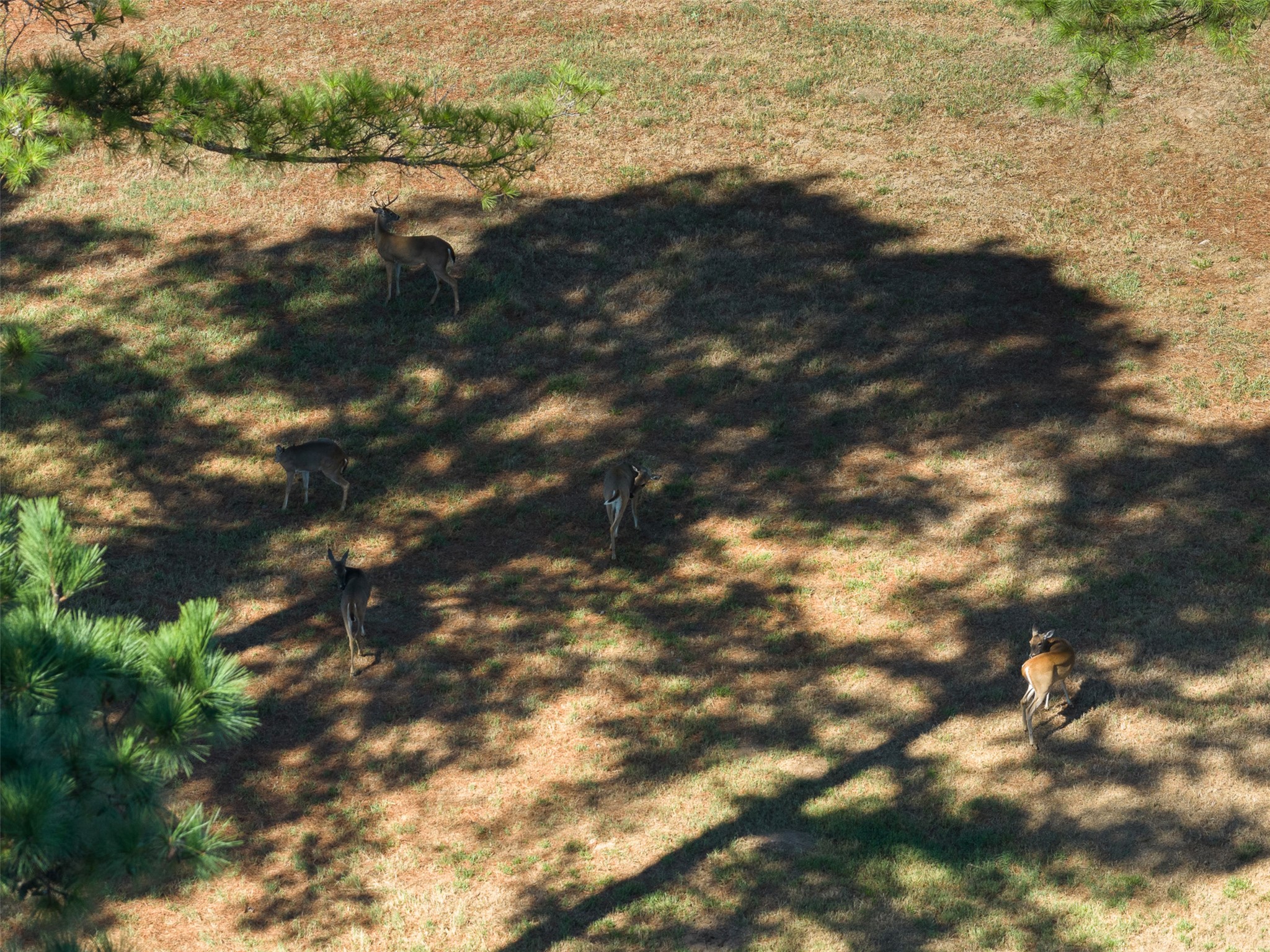 main property photo 39