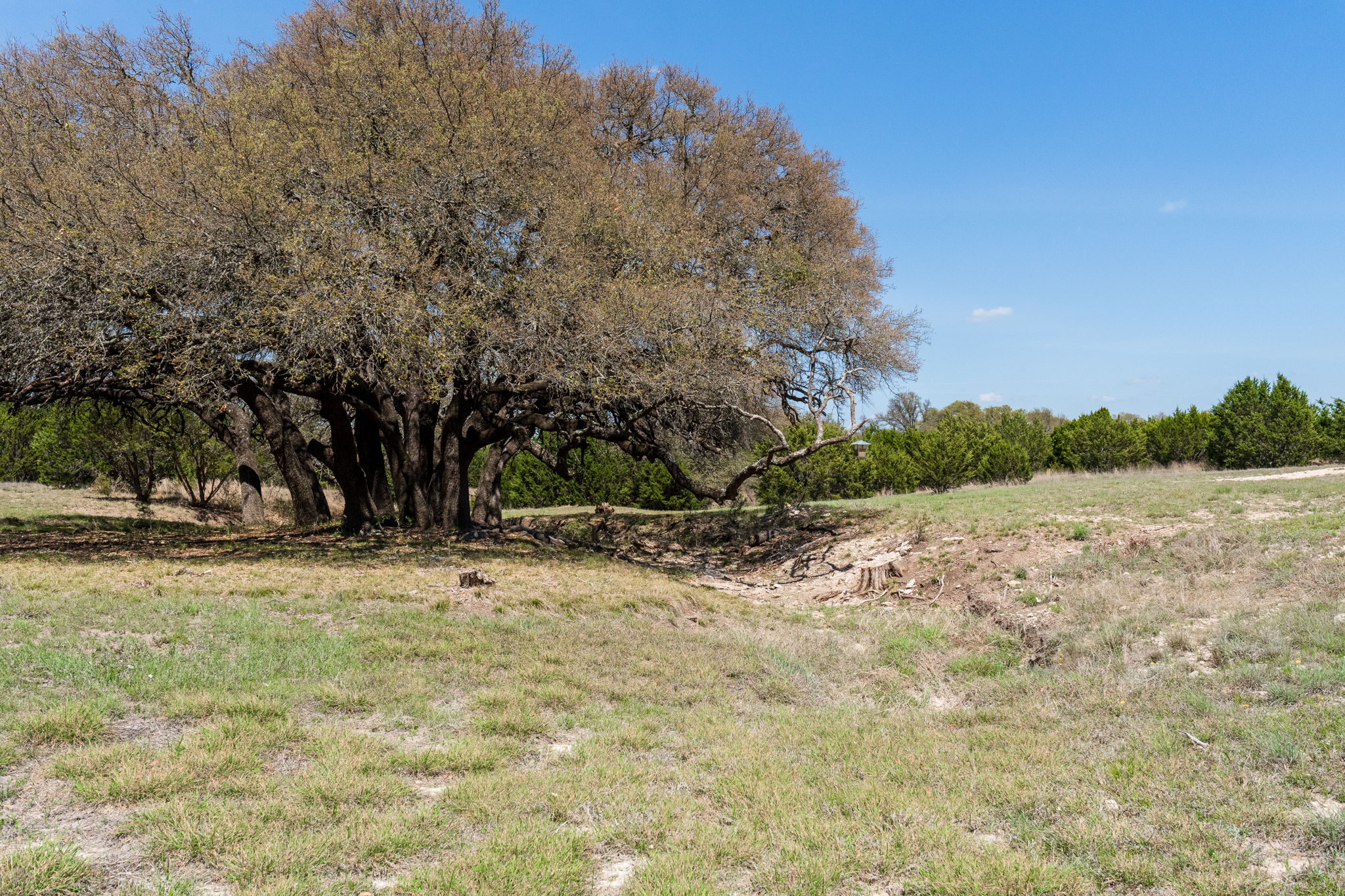 main property photo 36