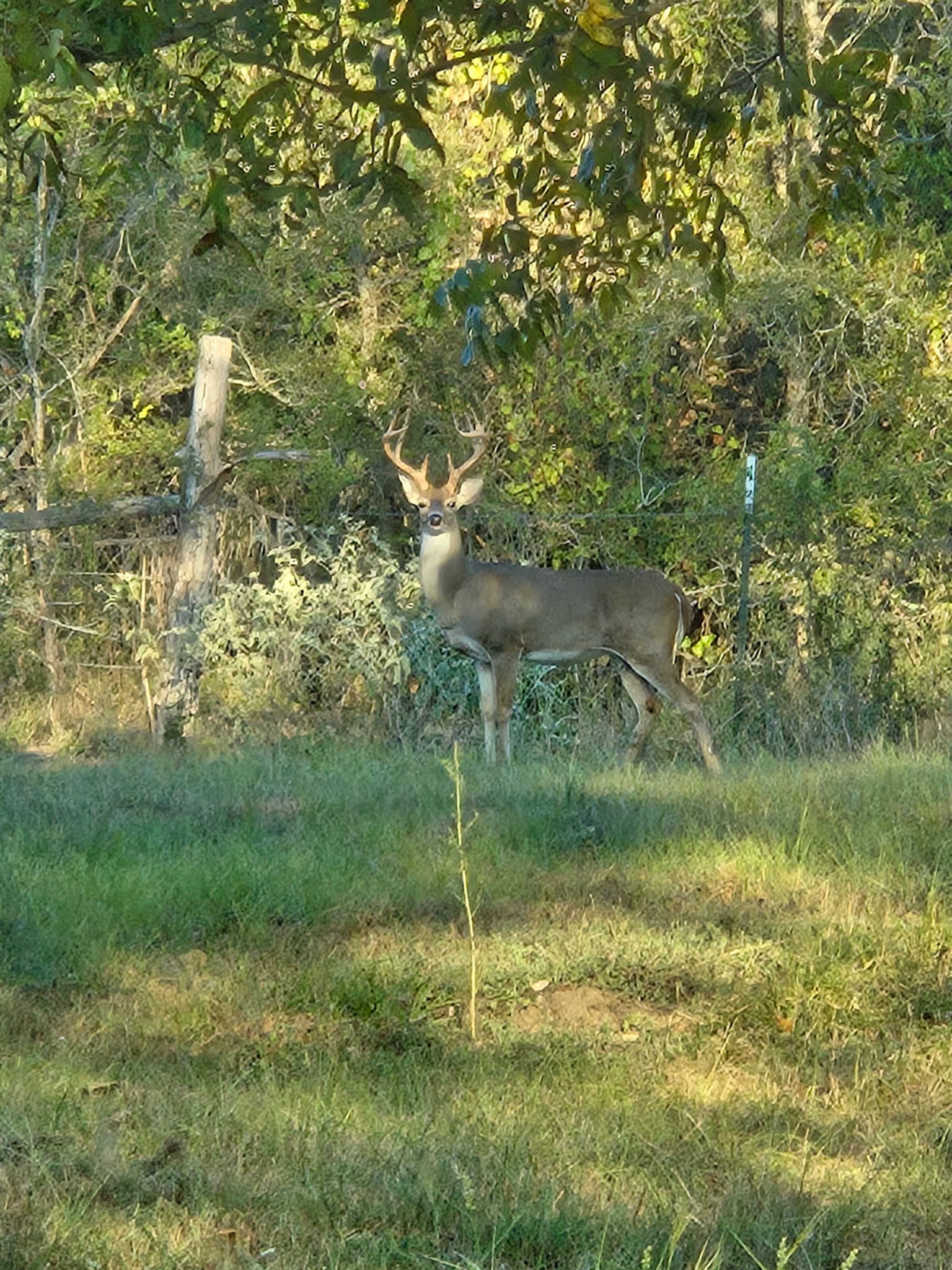 main property photo 16