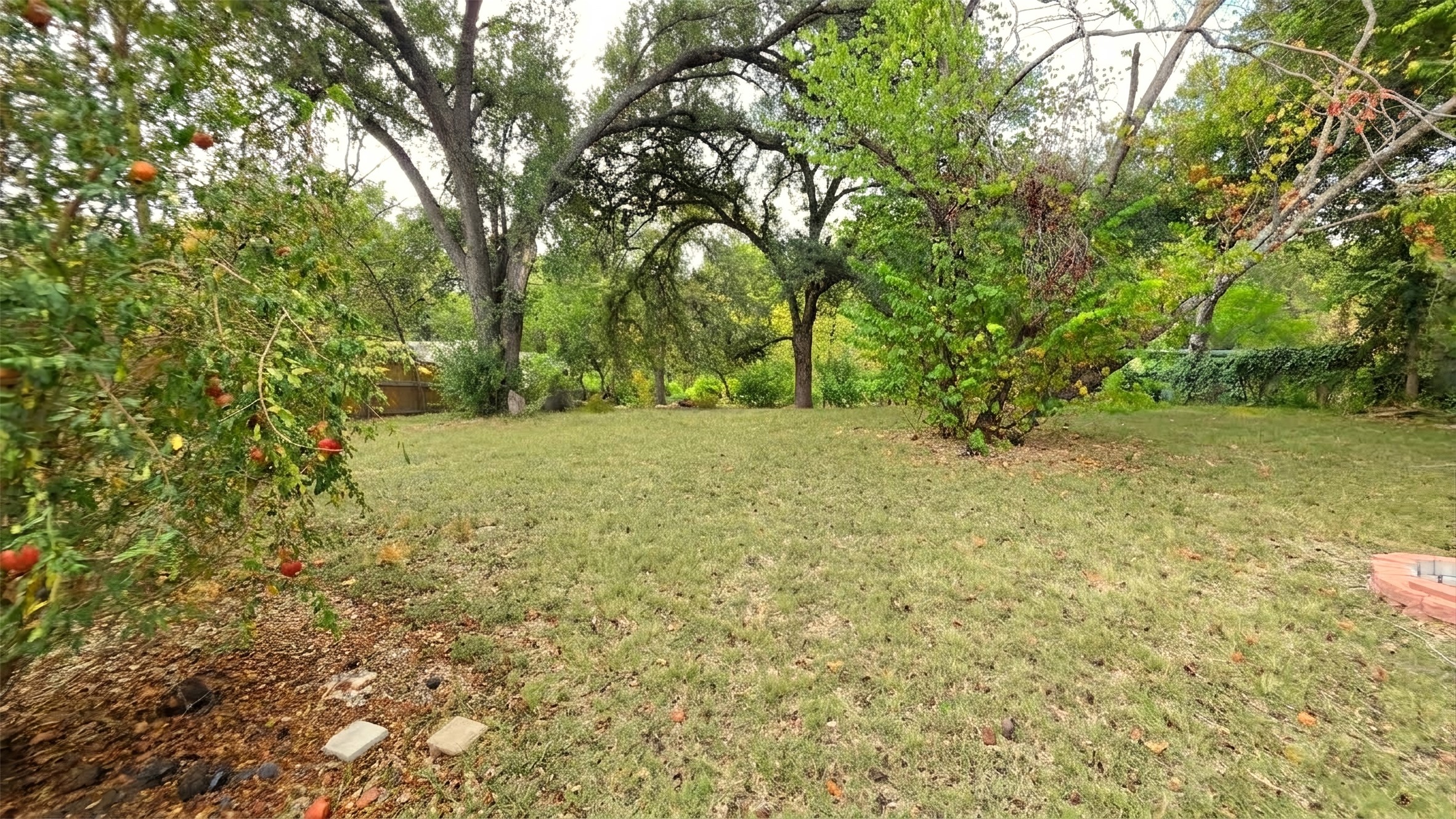 main property photo 27