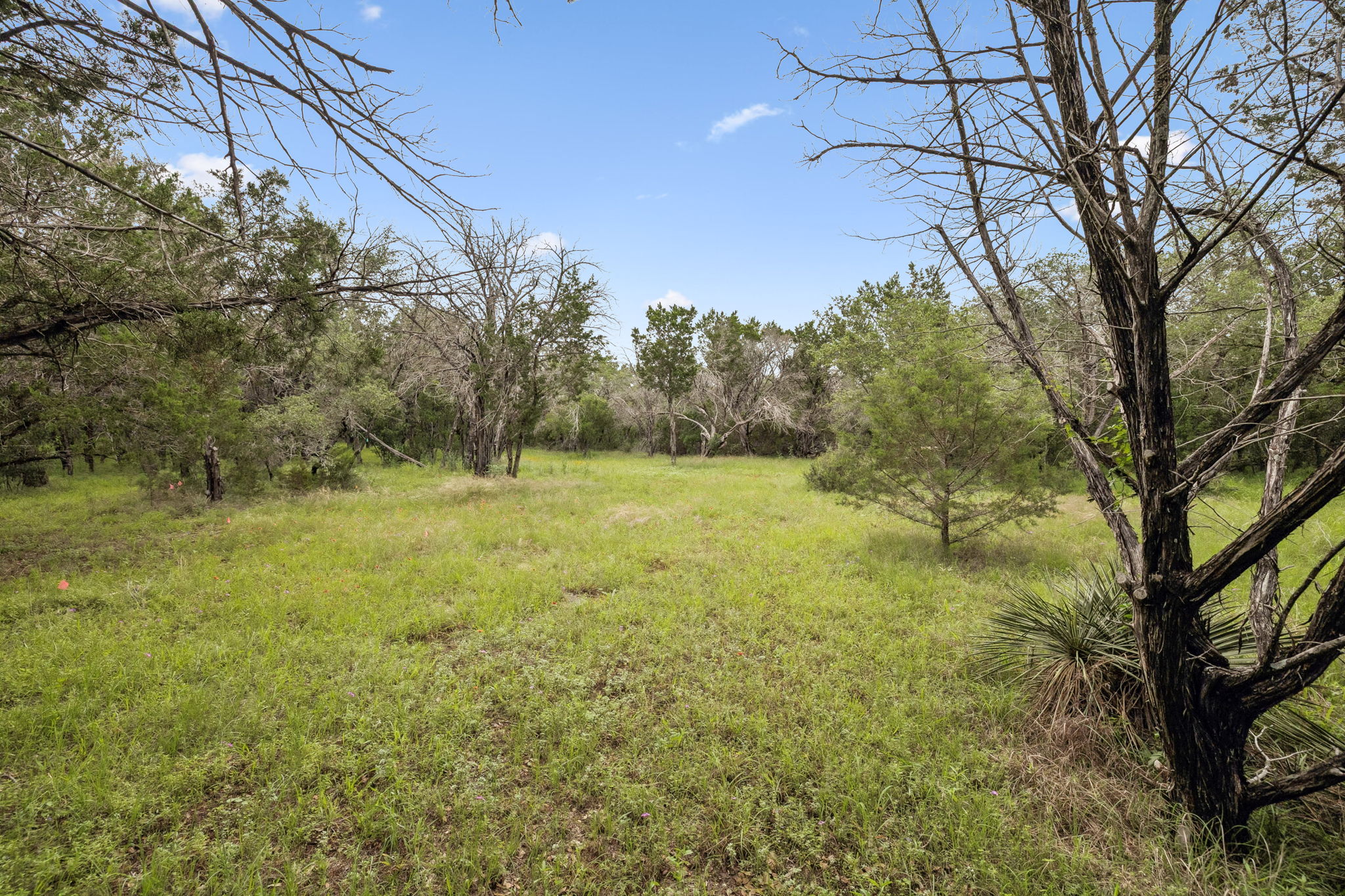 main property photo 38