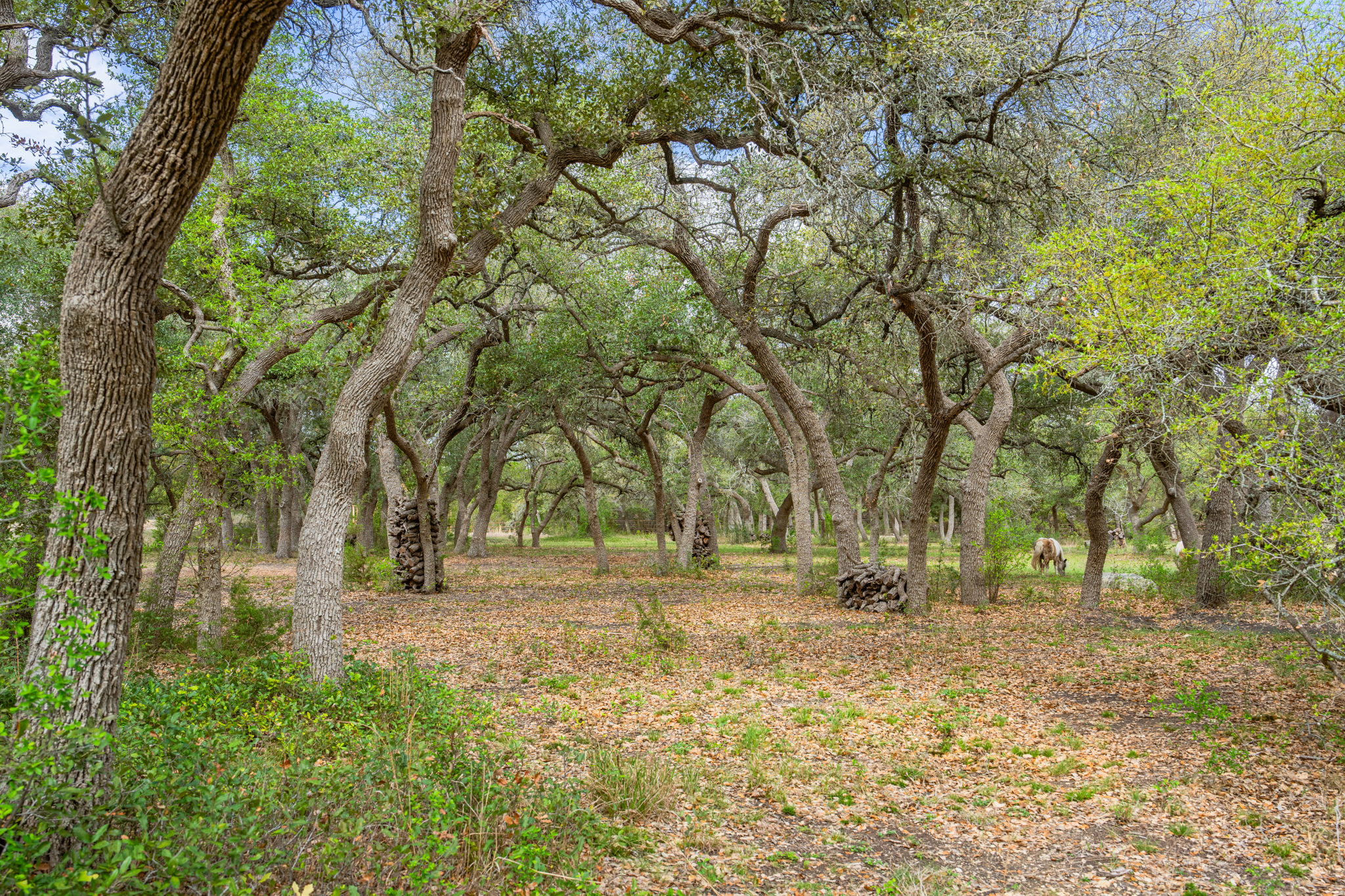 main property photo 35