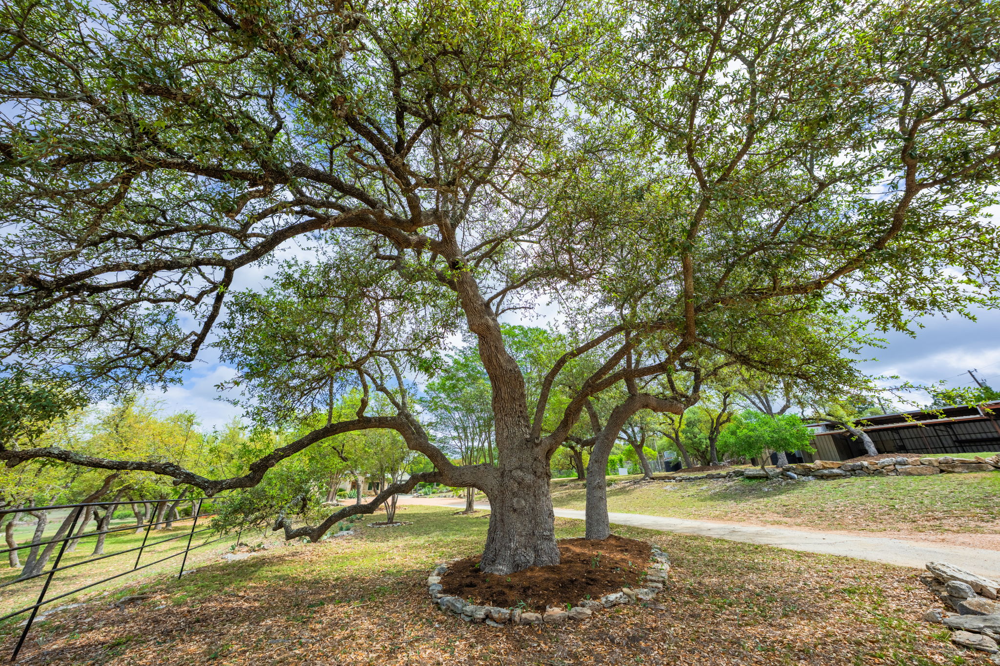 main property photo 39