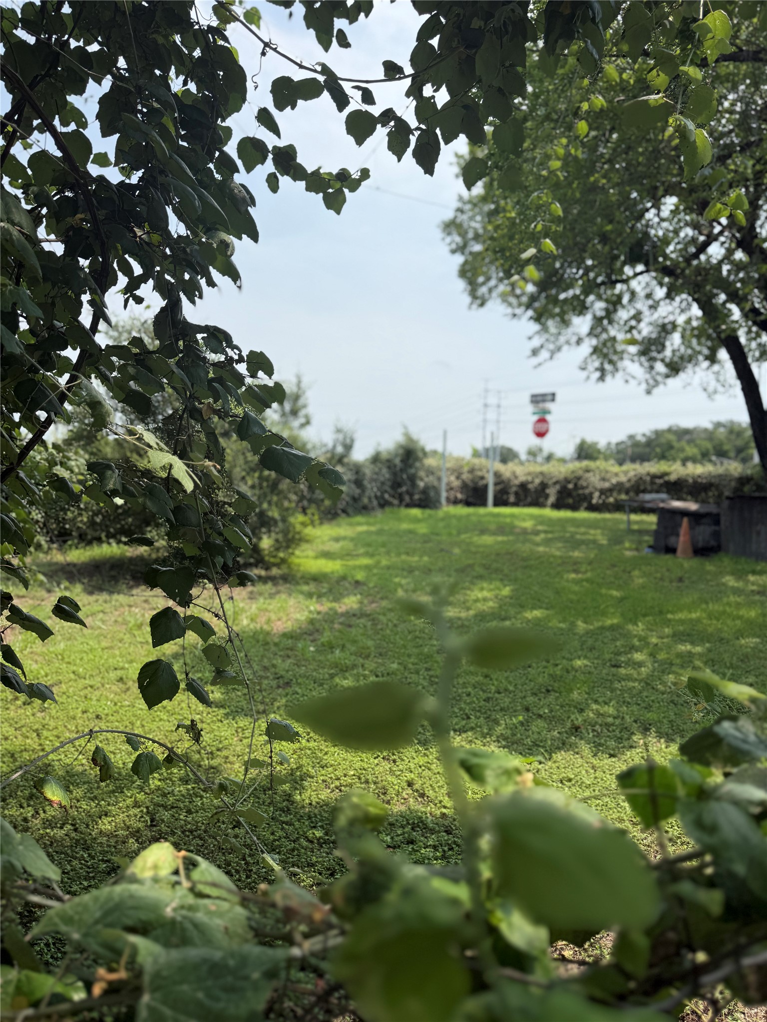 main property photo 15