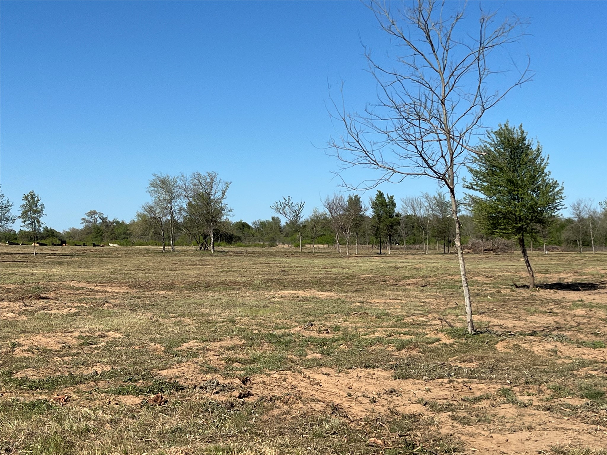 main property photo 18