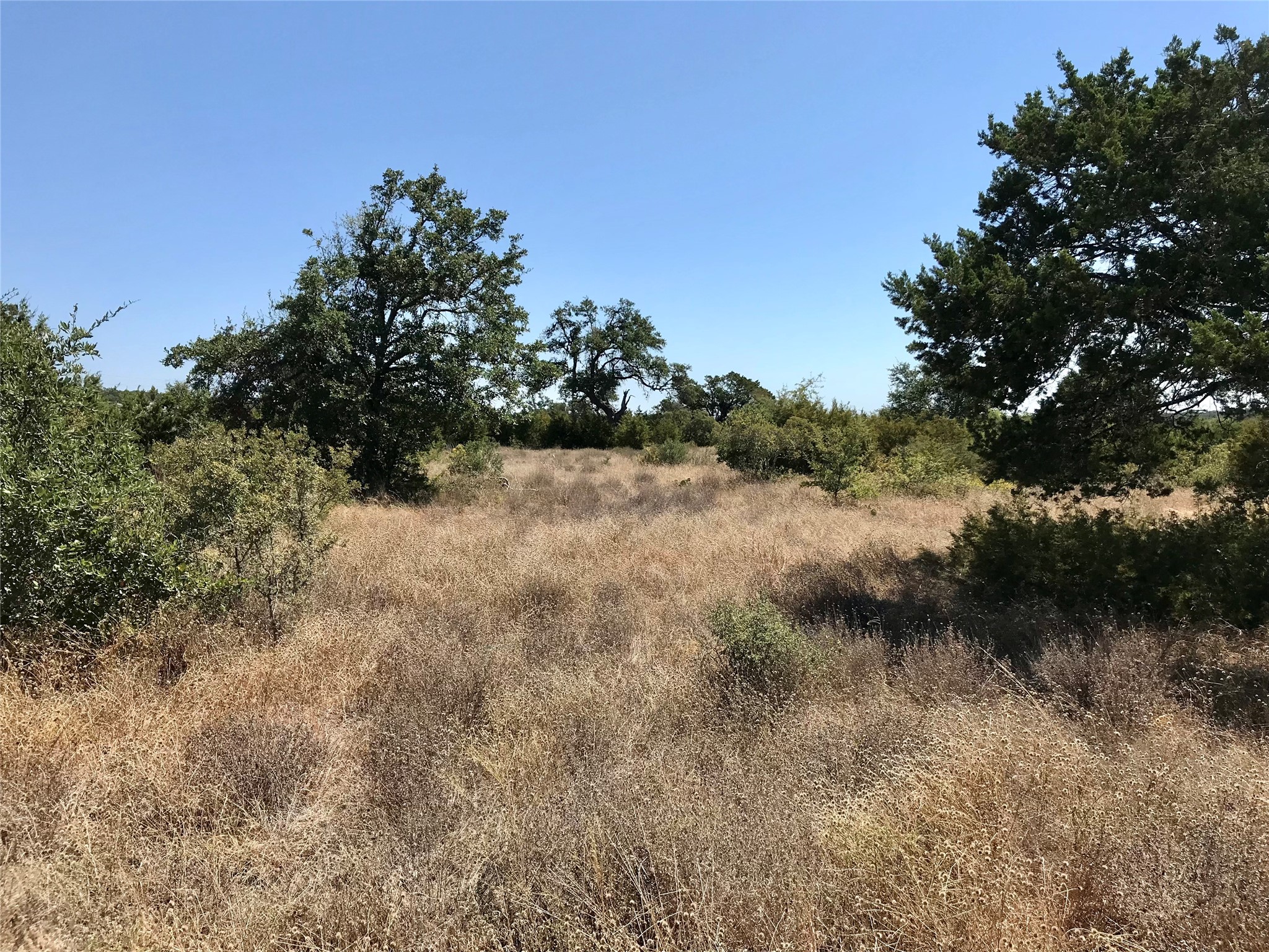 main property photo 10
