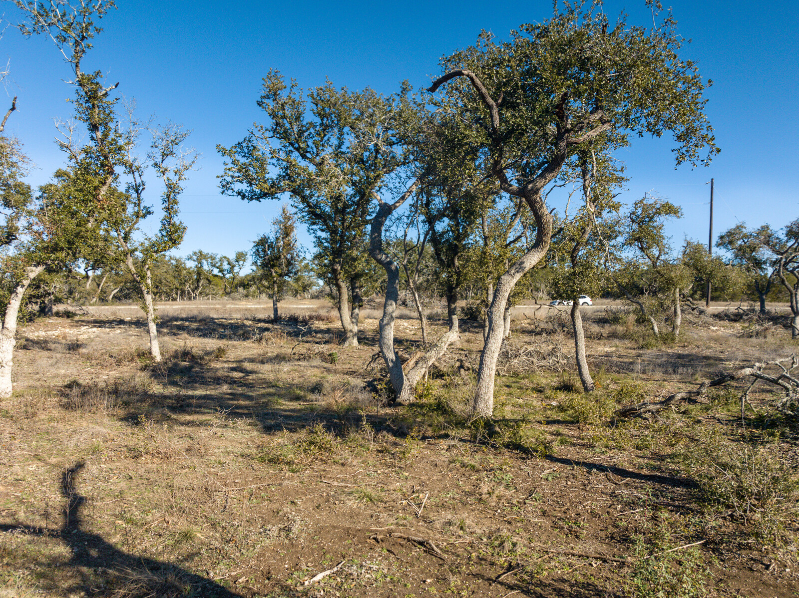main property photo 18