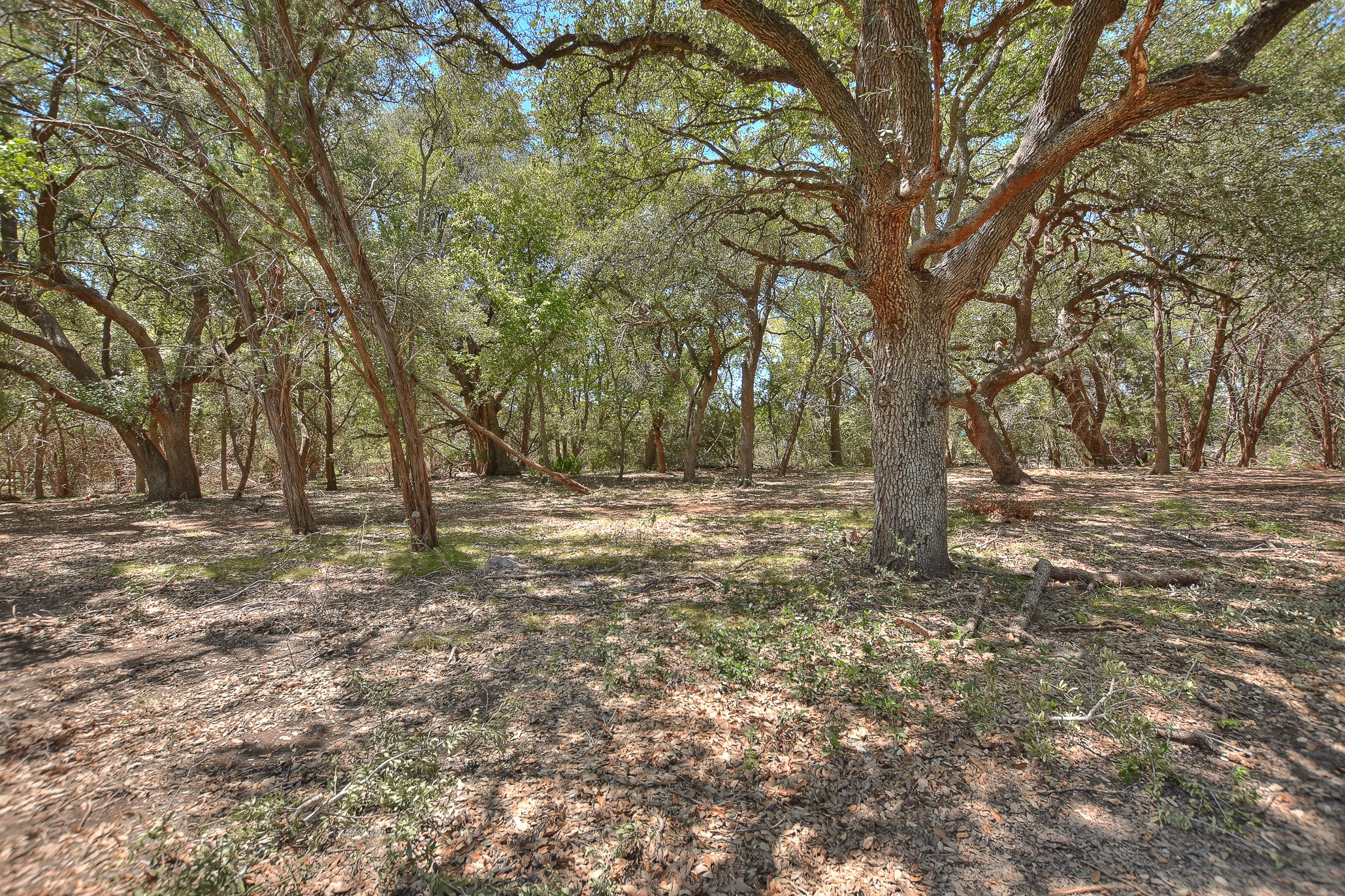 main property photo 33