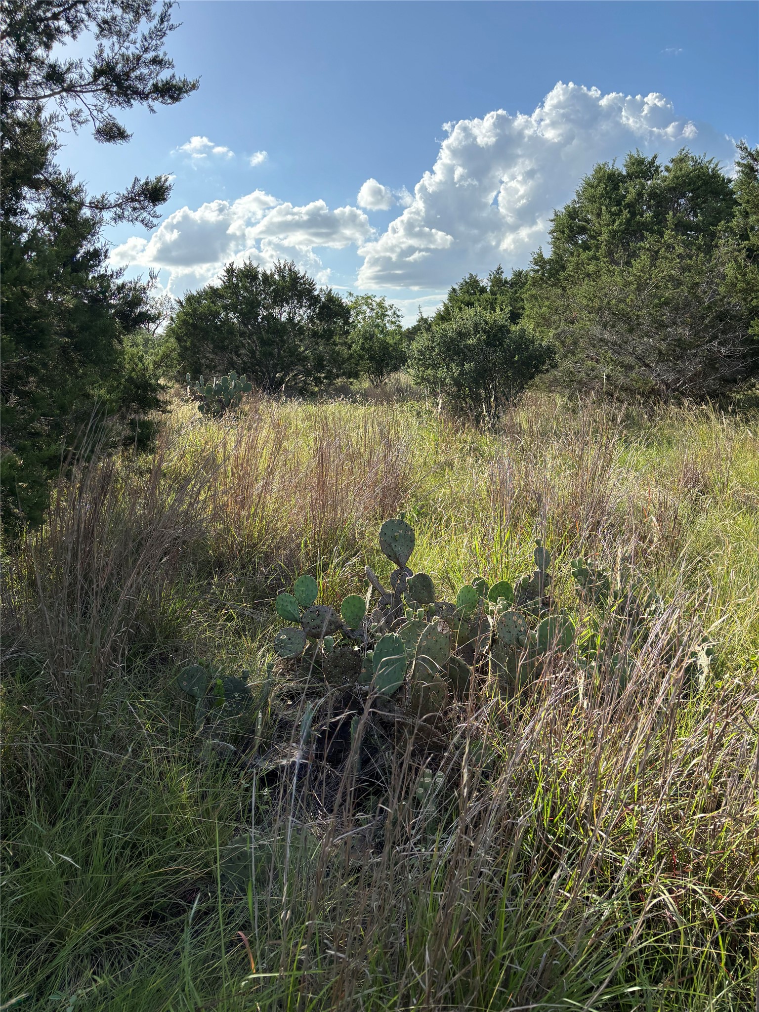 main property photo 11