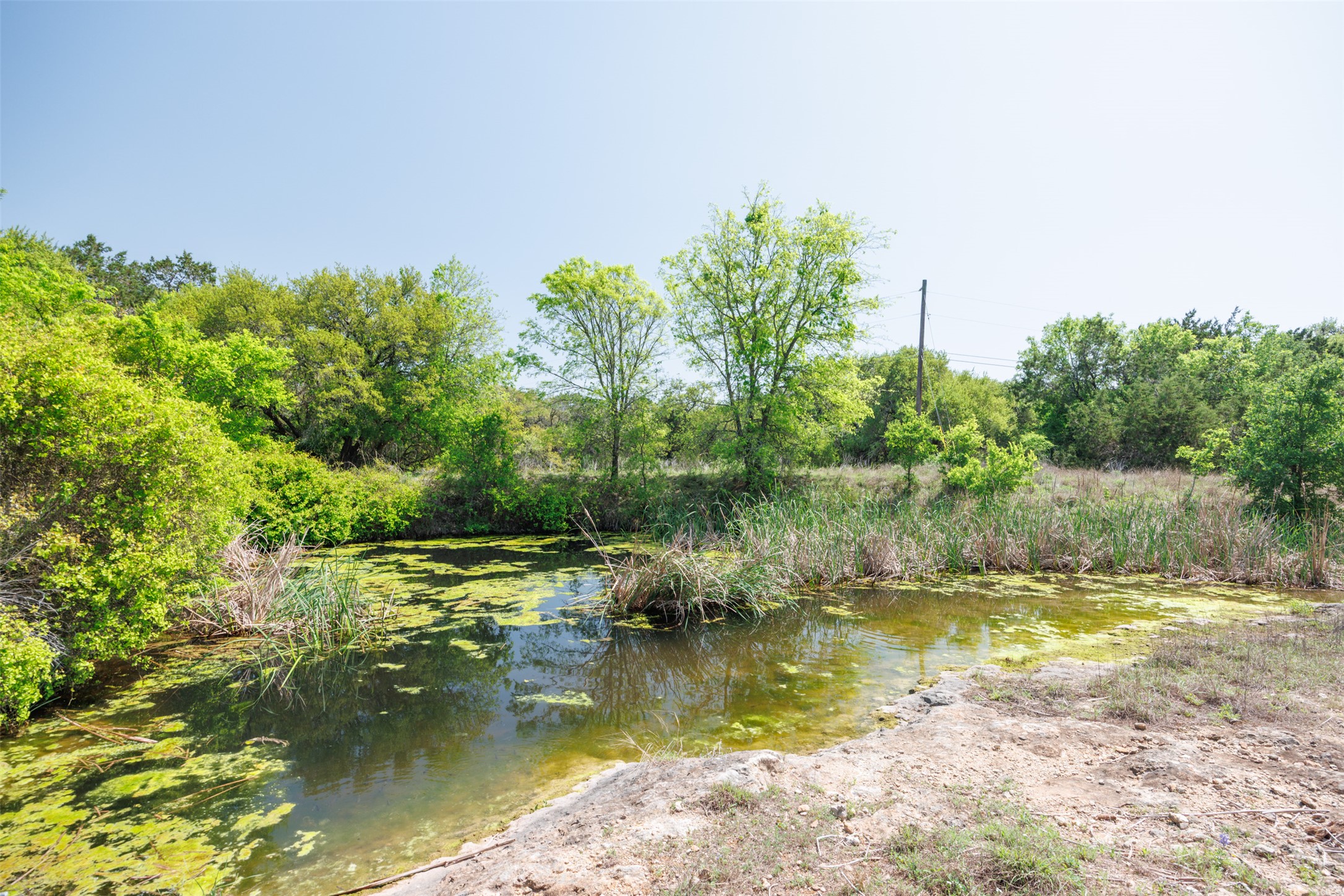 main property photo 15