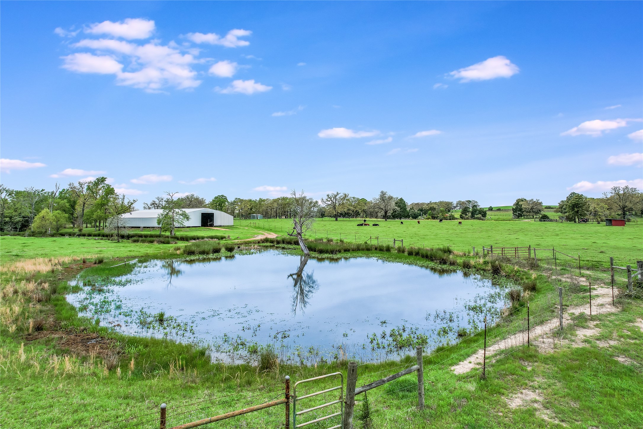 main property photo 21