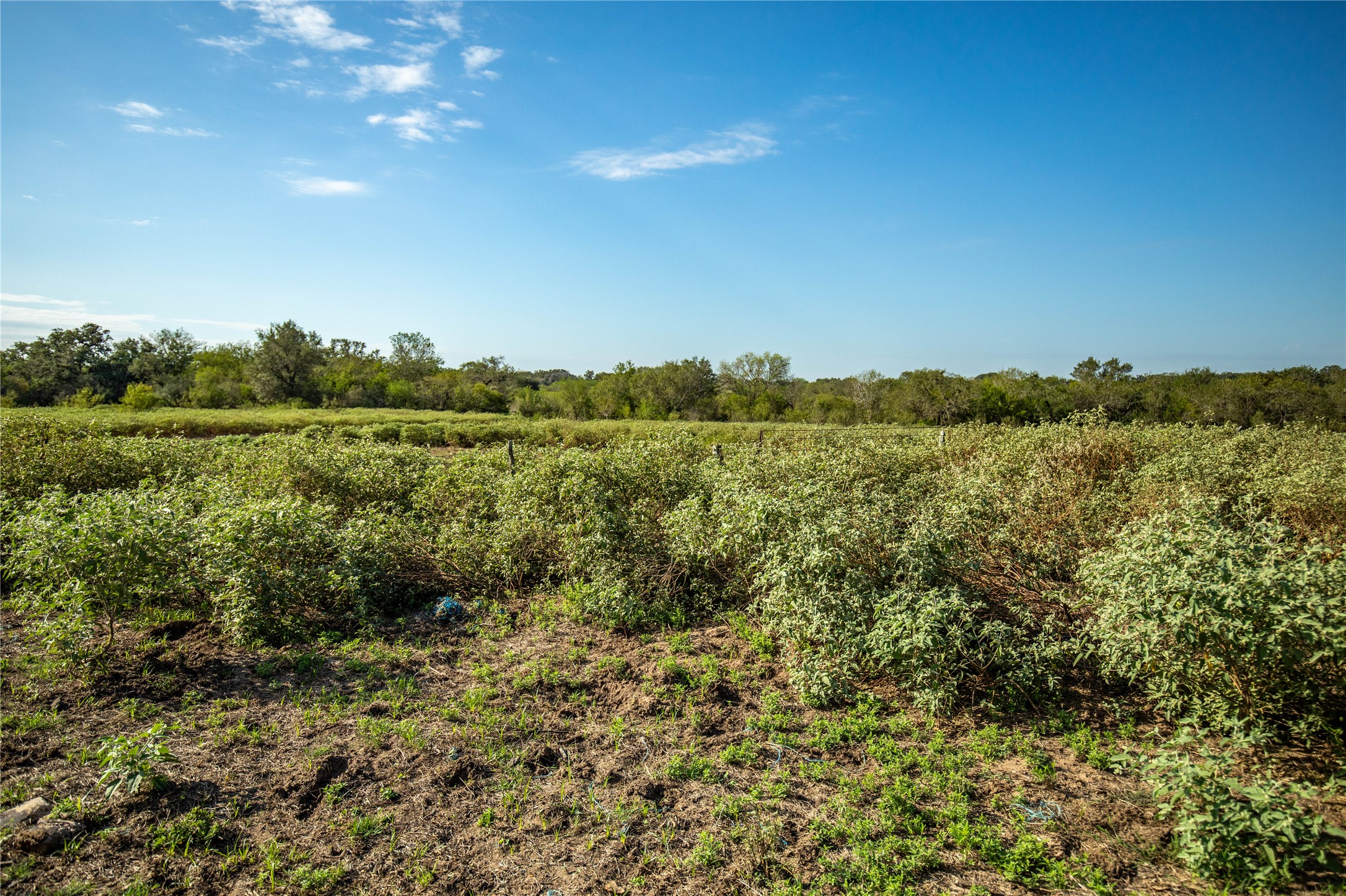 main property photo 11