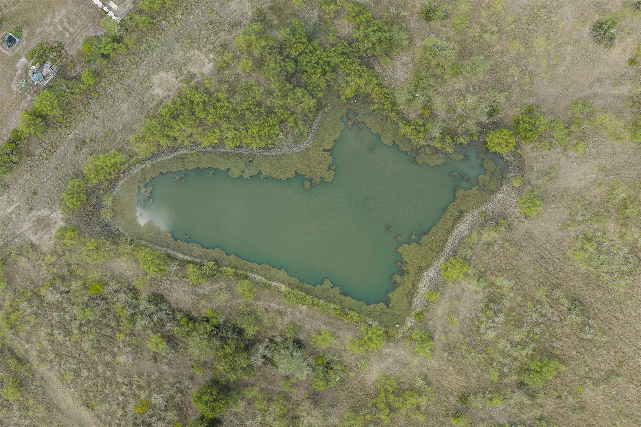 main property photo 15