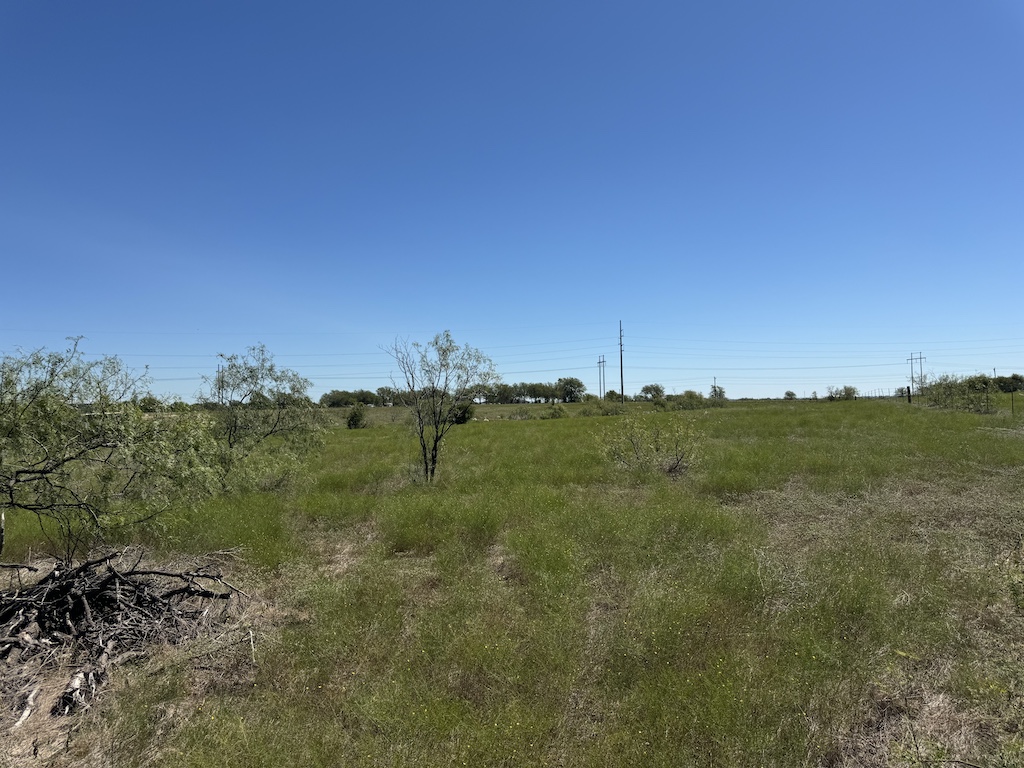 main property photo 10