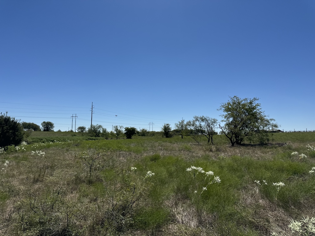 main property photo 7