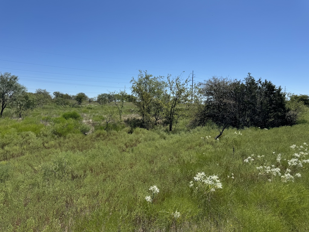 main property photo 9