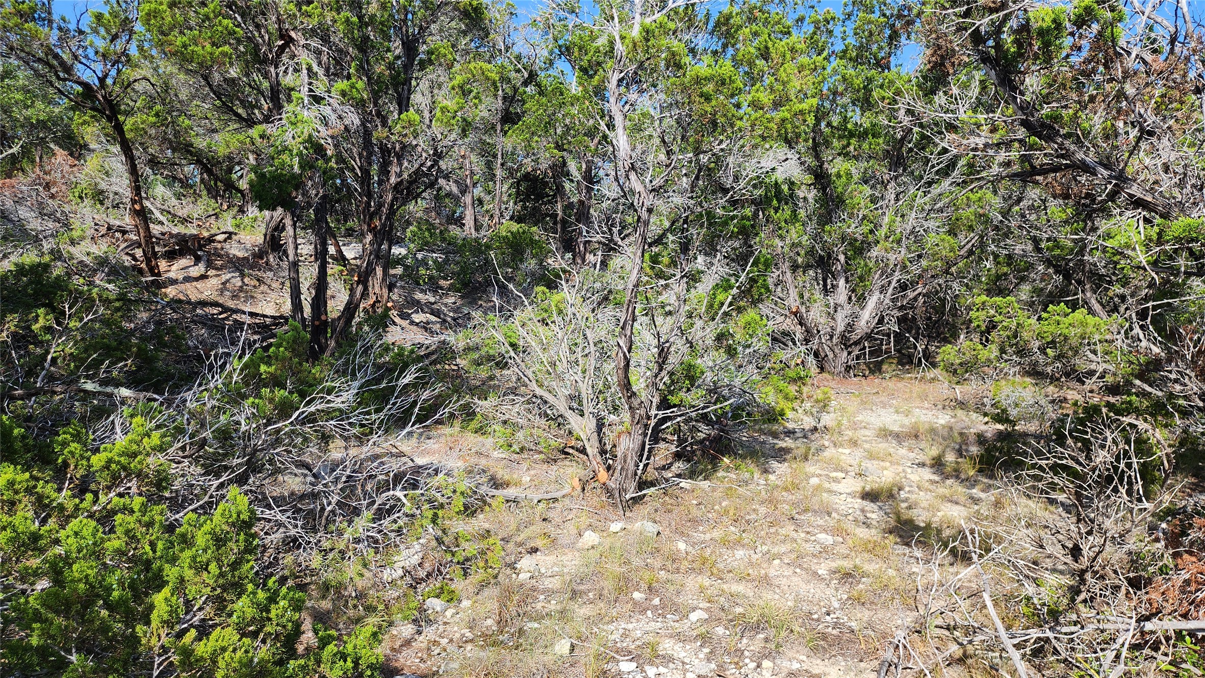 main property photo 18
