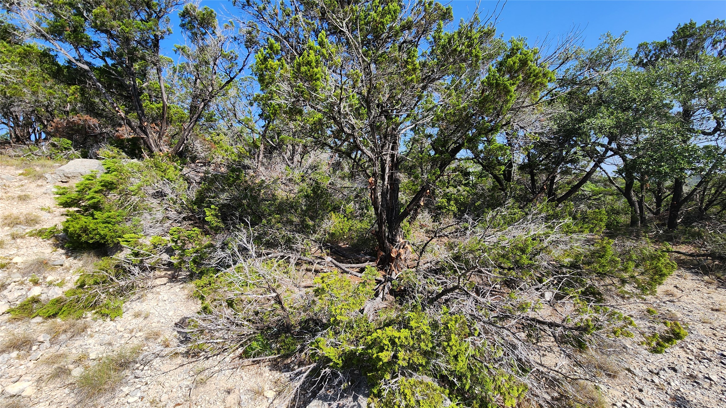 main property photo 27