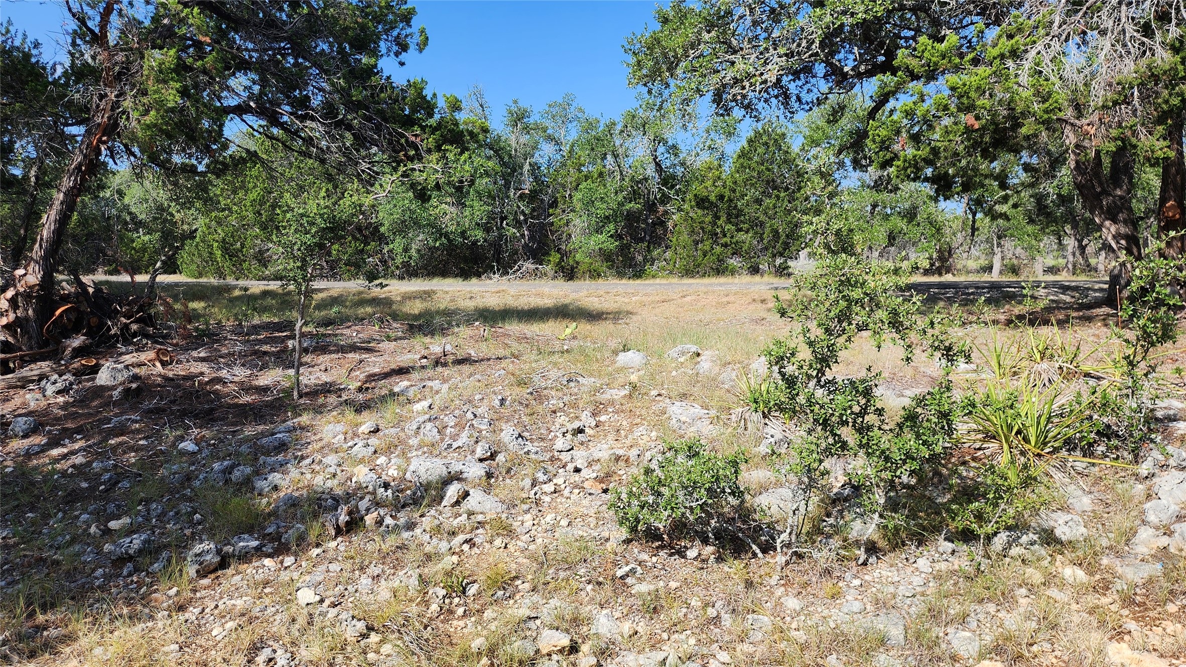 main property photo 6