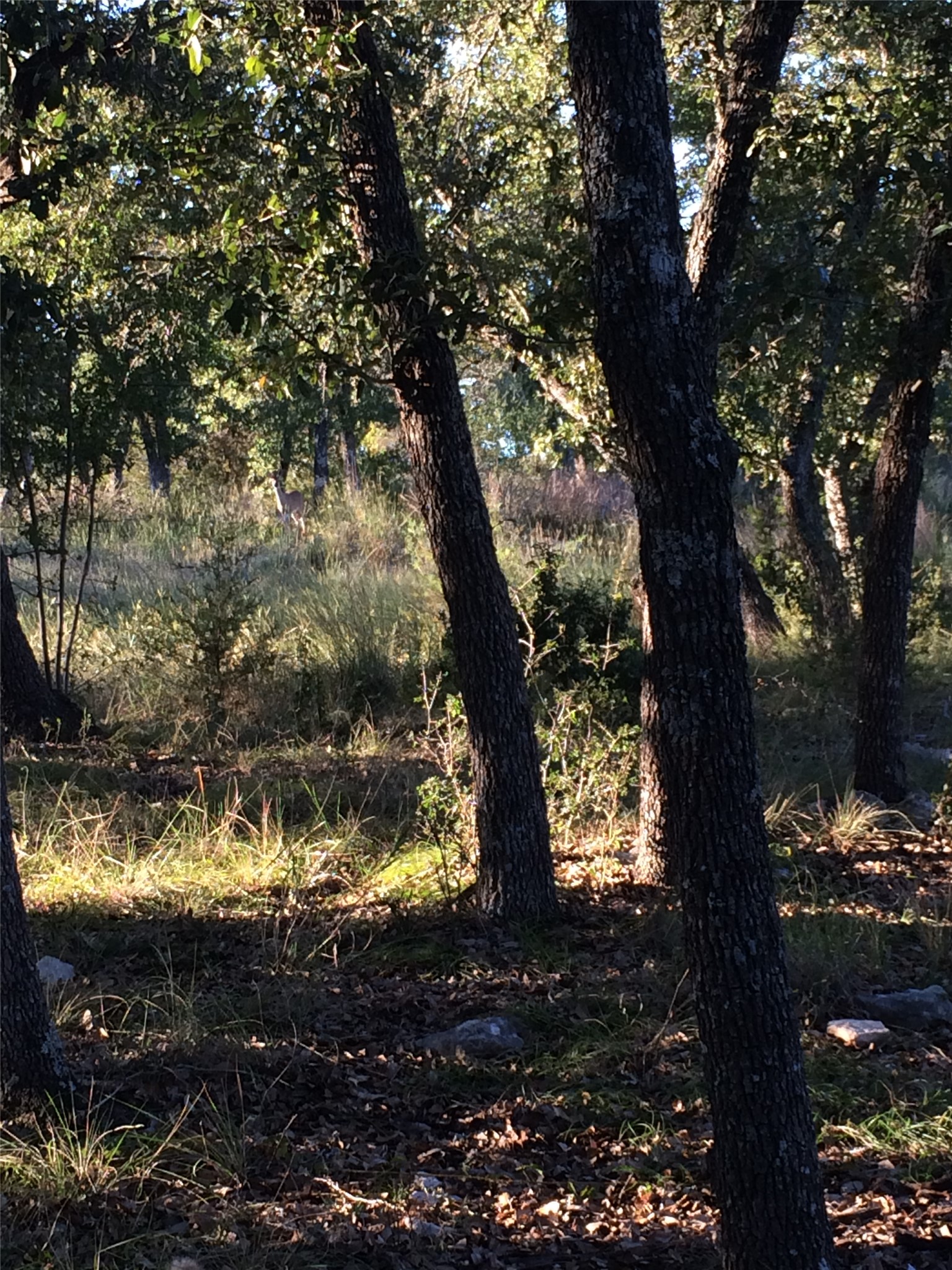main property photo 17