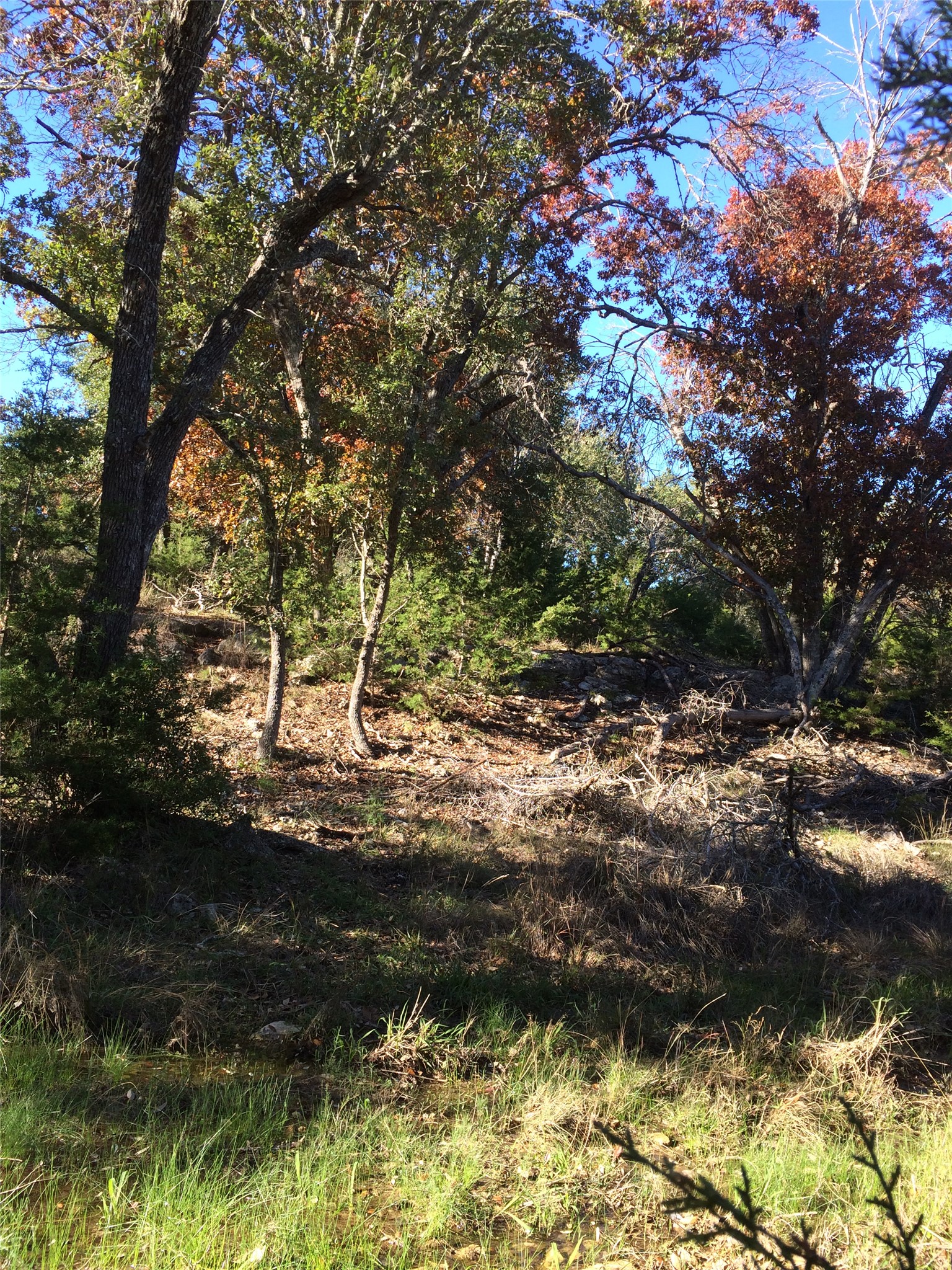 main property photo 22