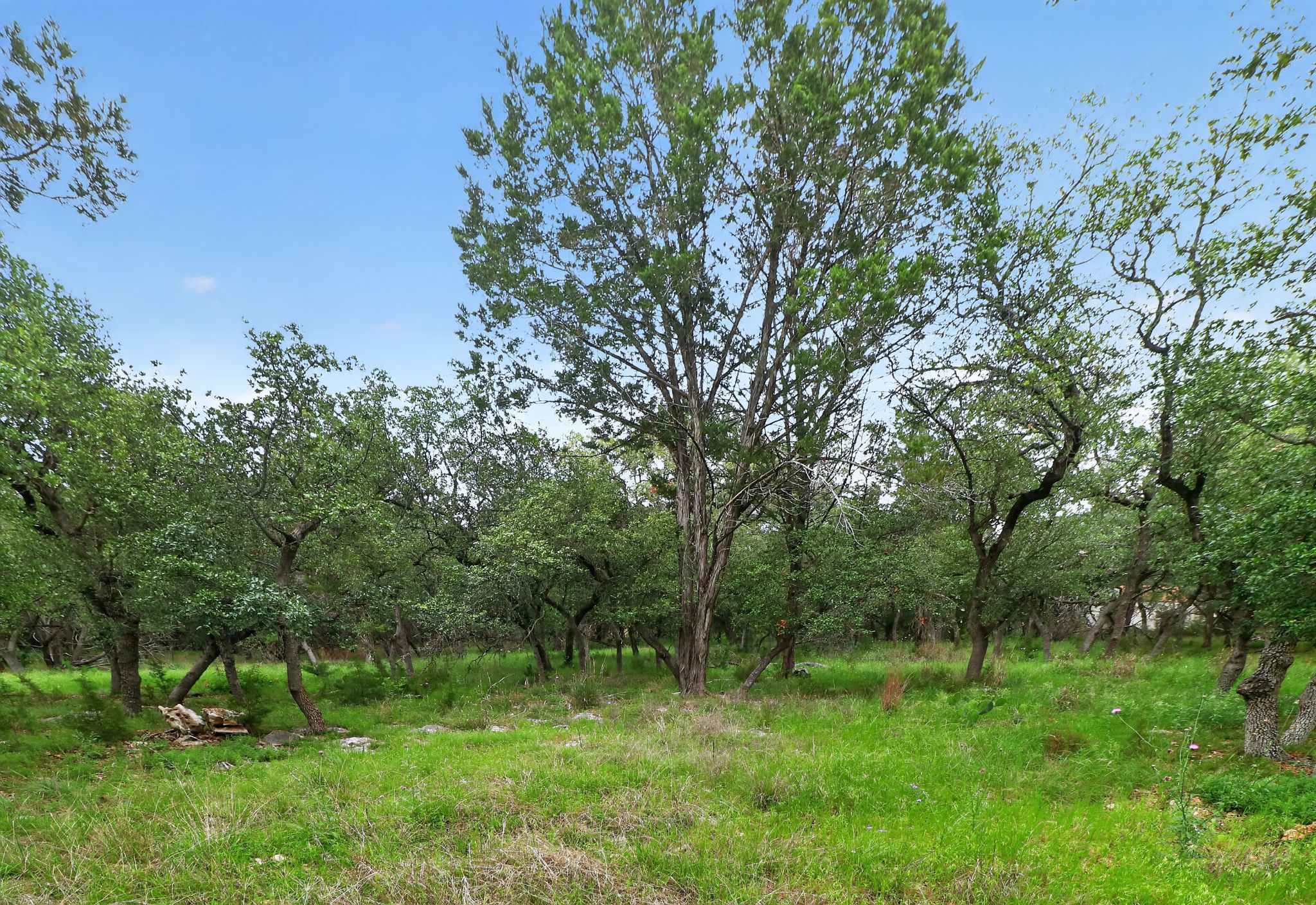 main property photo 28