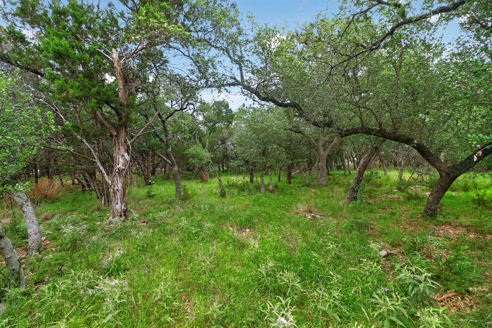 main property photo 29