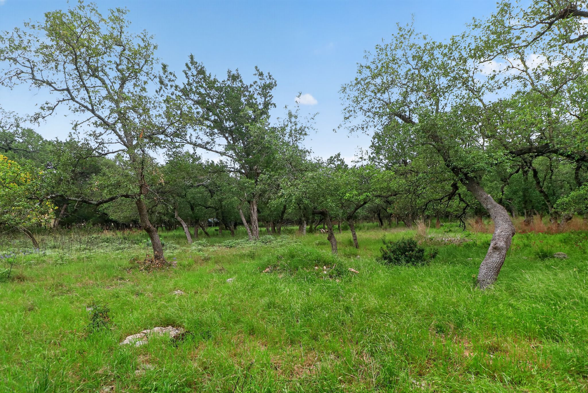 main property photo 30