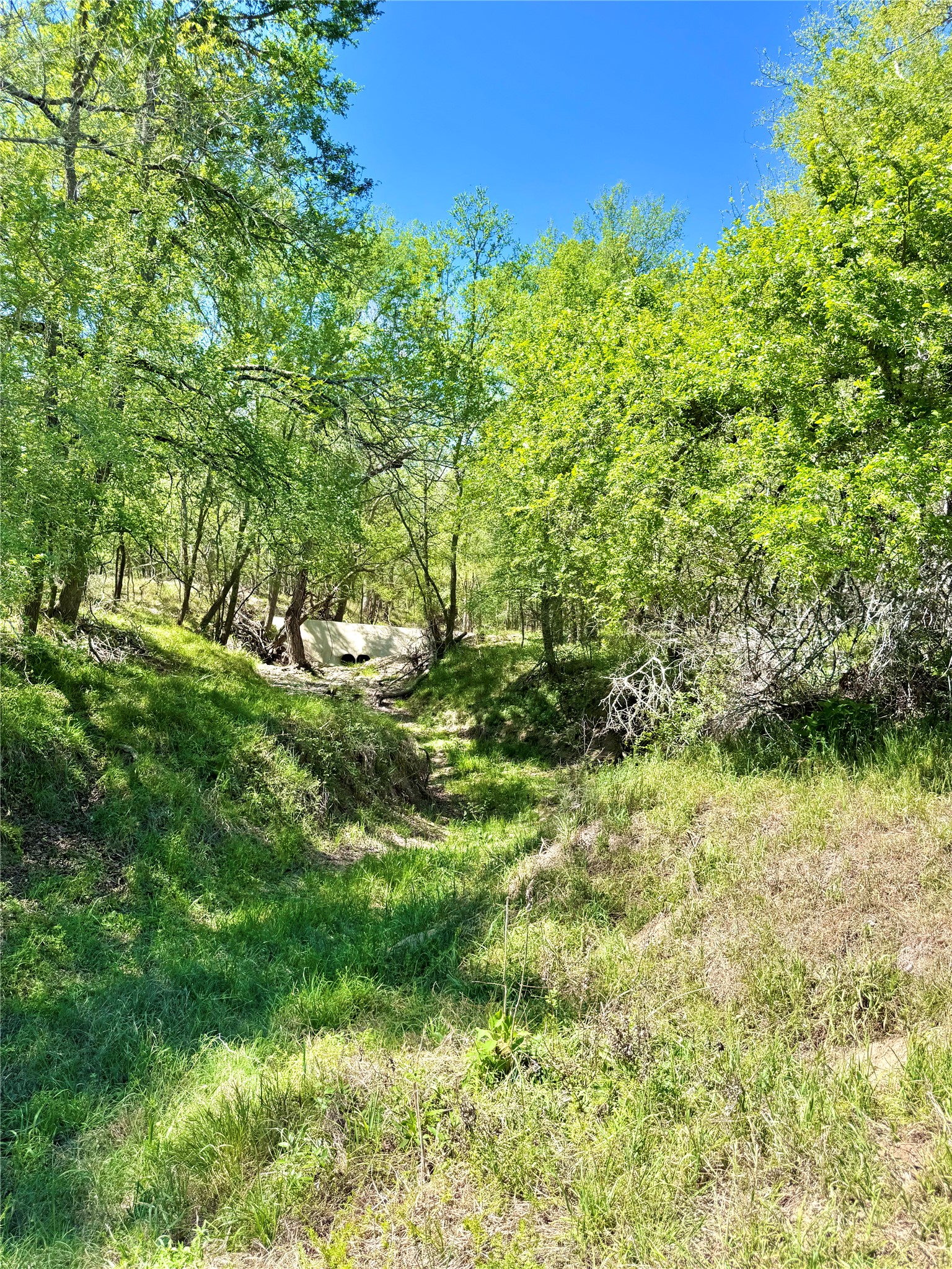 main property photo 7