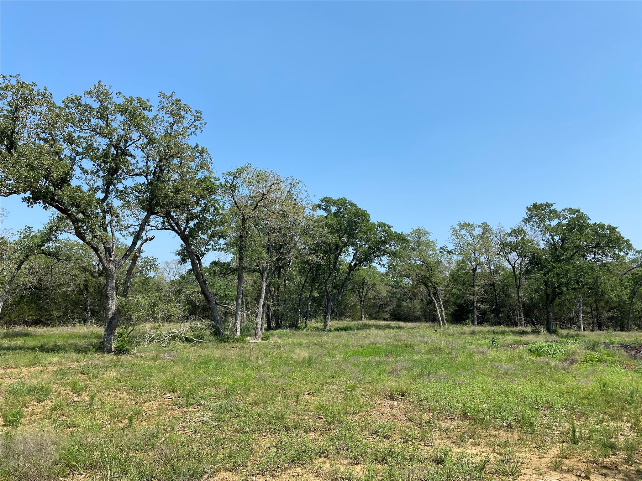 main property photo 10