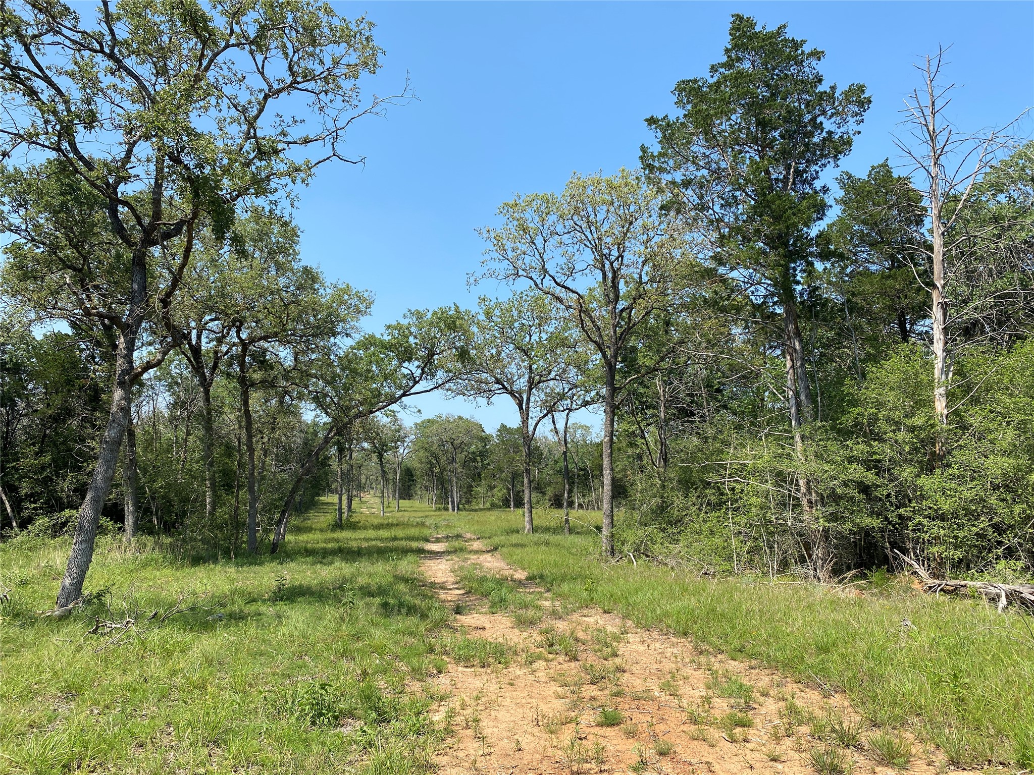 main property photo 11