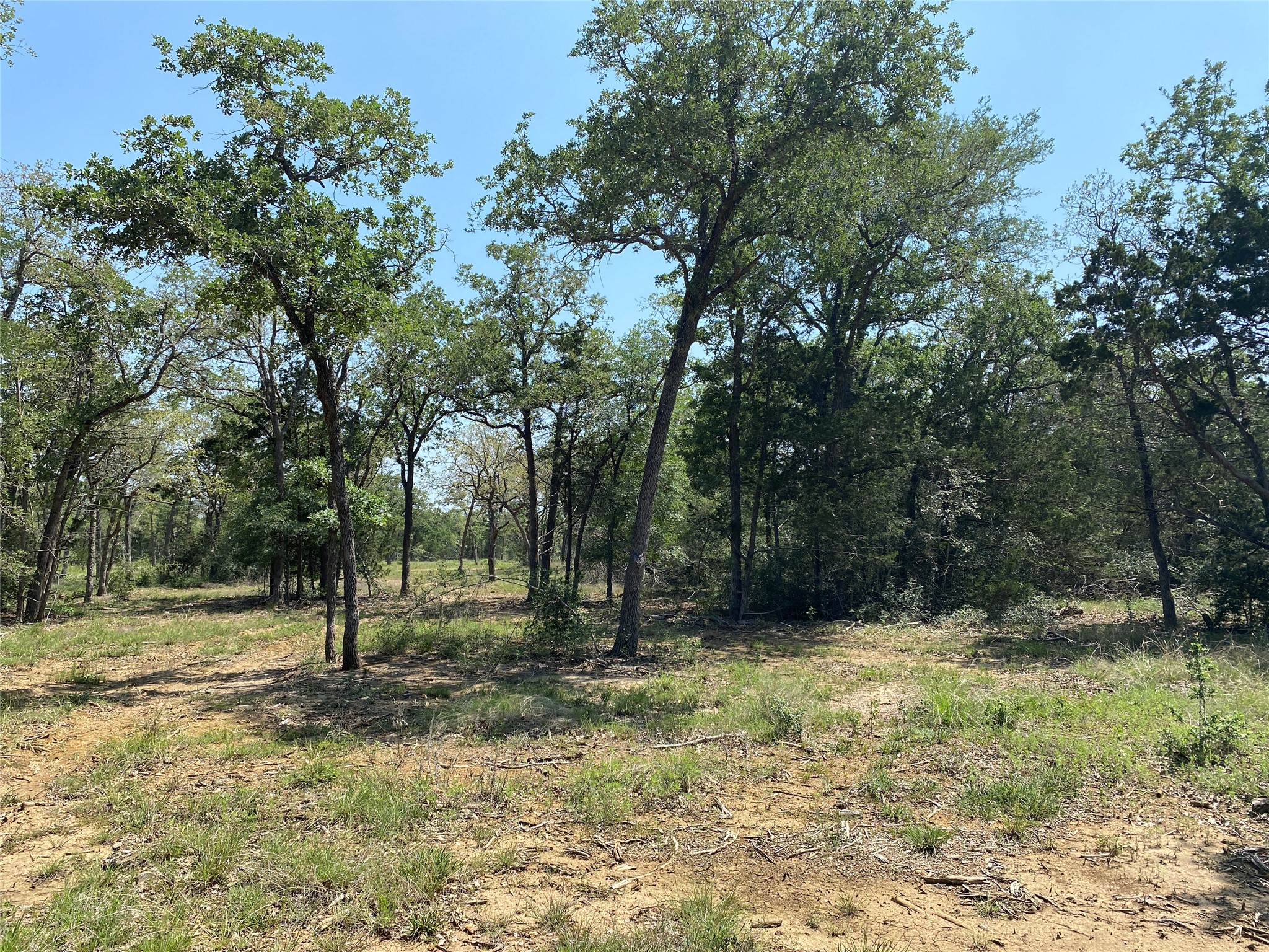 main property photo 8