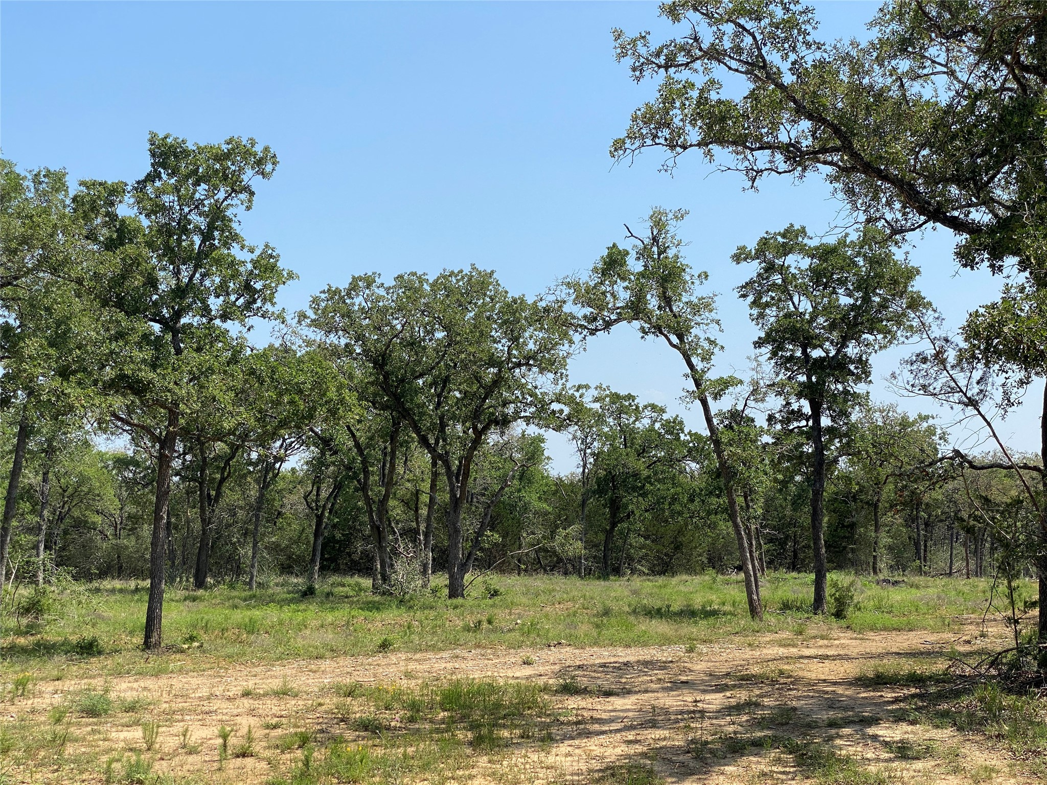 main property photo 9