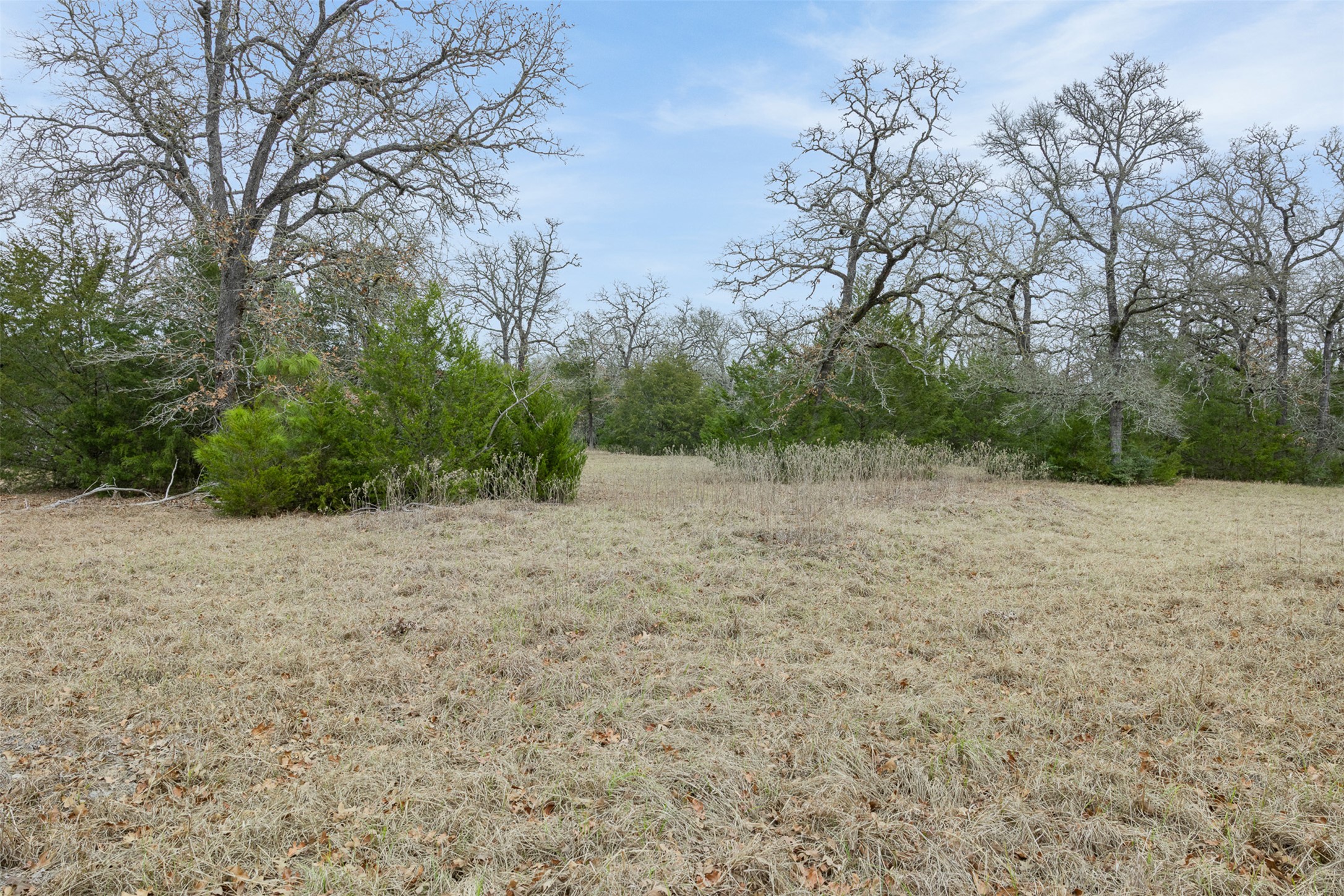 main property photo 13