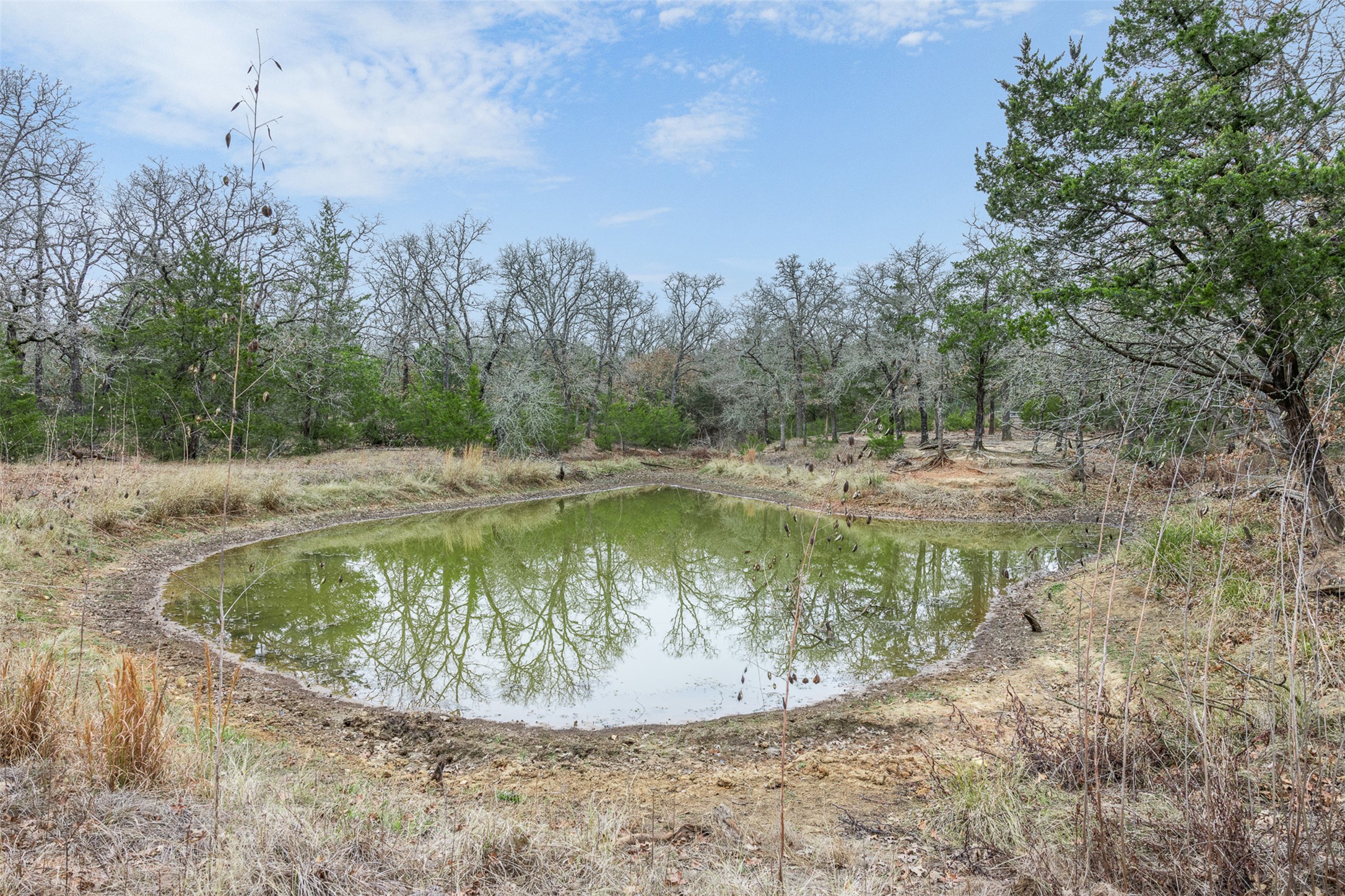 main property photo 18