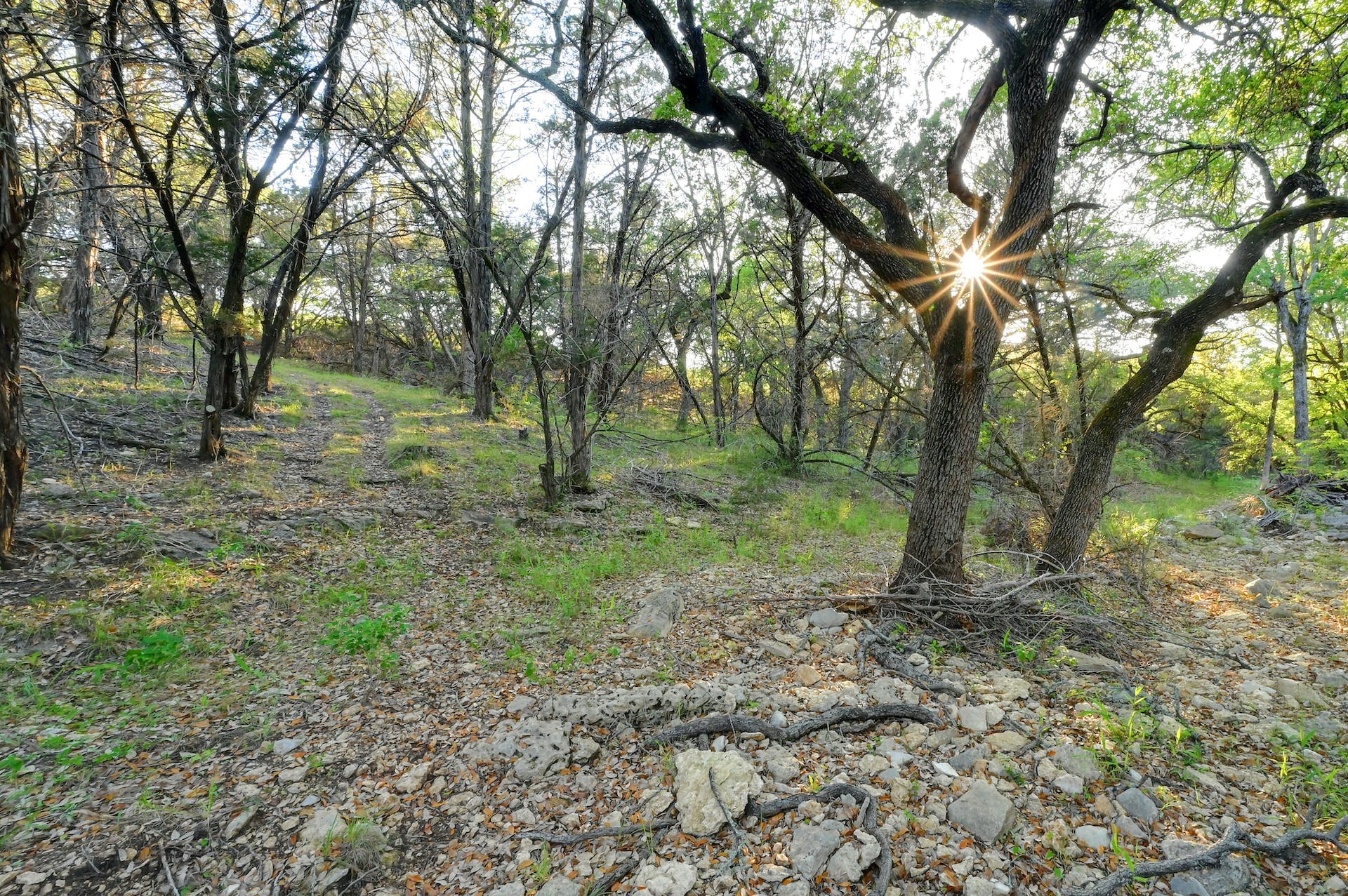 main property photo 13