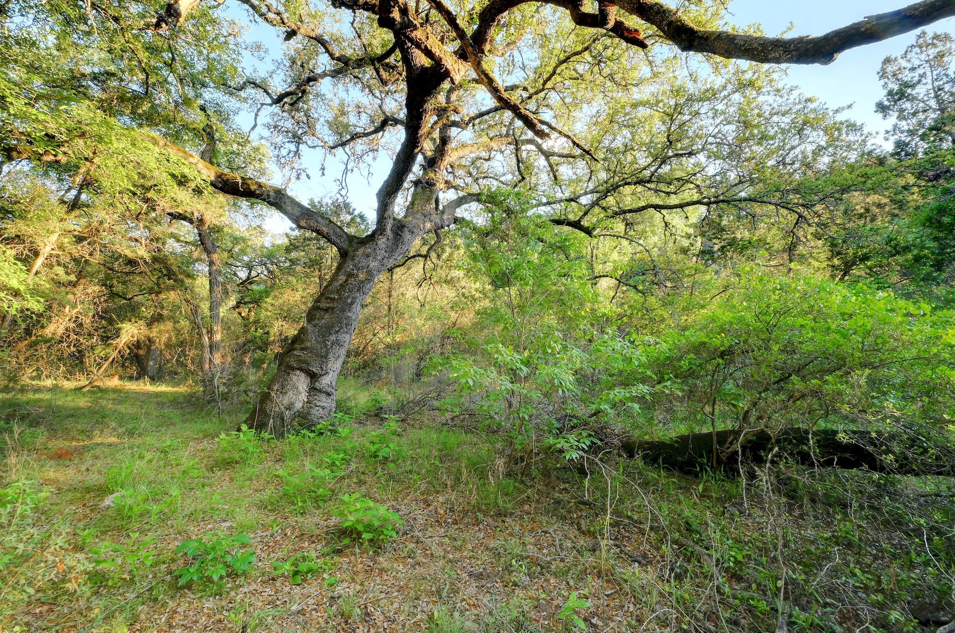 main property photo 15